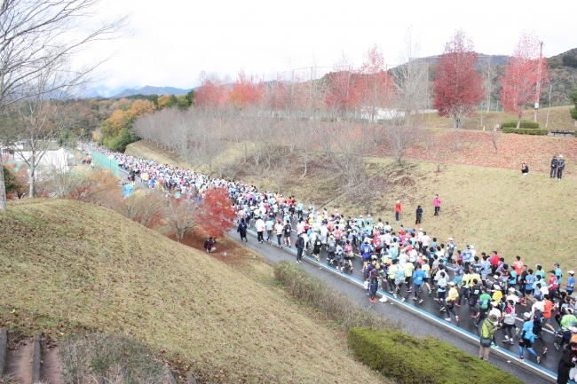 昨年の福知山マラソンのスタート直後の様子。約8,000人が参加
