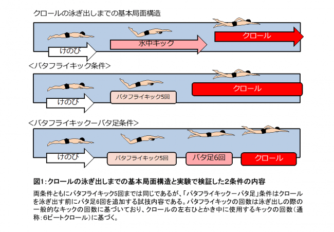 図1：クロールの泳ぎ出しまでの基本局面構造と実験で検証した２条件の内容