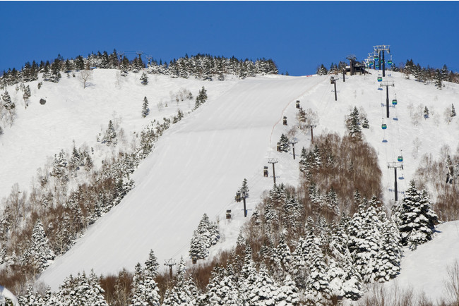 「志賀高原 焼額山スキー場」コース数 15本、最大斜度 30度、最長滑走距離 2,500ｍ