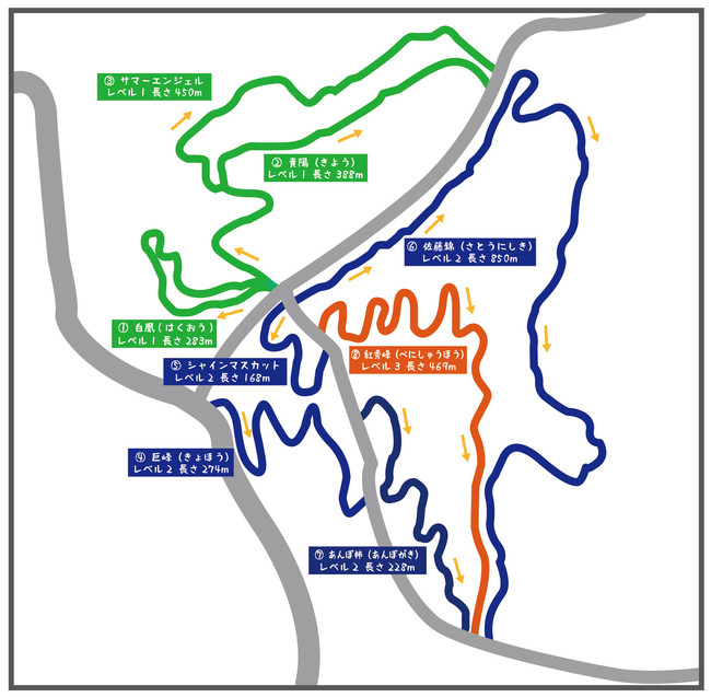 立沼MTBパークのトレイル図