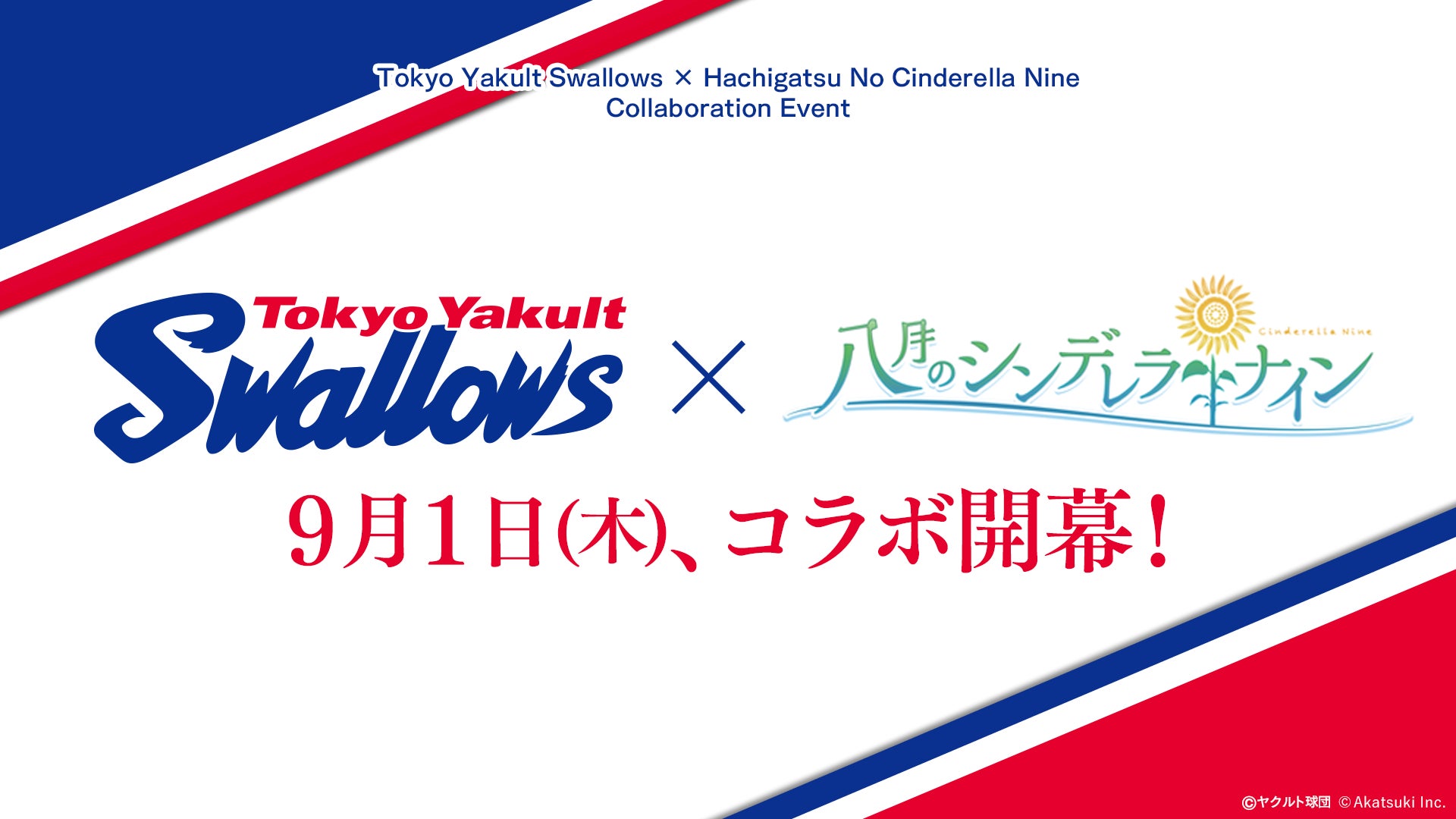 関連動画再生1億回を超え、PPV・視聴者数とも過去最高を更新した『Breaking Down 5』を更にレベルアップさせ、『BreakingDown6』11月3日に開催決定!