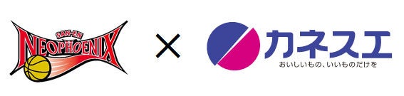 オーダーでも実現不可能!?ミズノ・インフィニティNEOの限定カラーの新登場【野球用品ベースボールタウン】