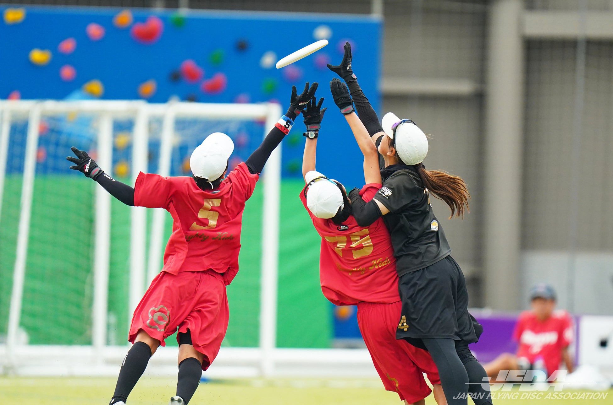 【B3新規参入クラブ】東京ユナイテッドBCがB1, B2, B3リーグ最多入場者数更新！