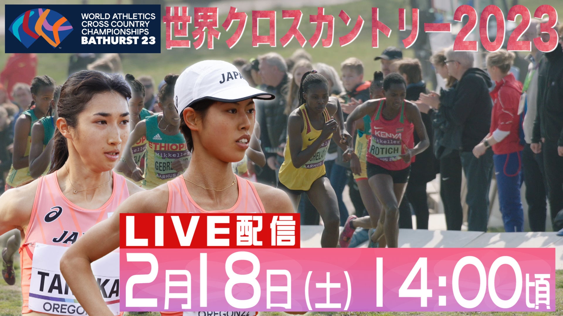 「東京マラソン2023」の表彰メダルを純金・純銀・純銅で提供