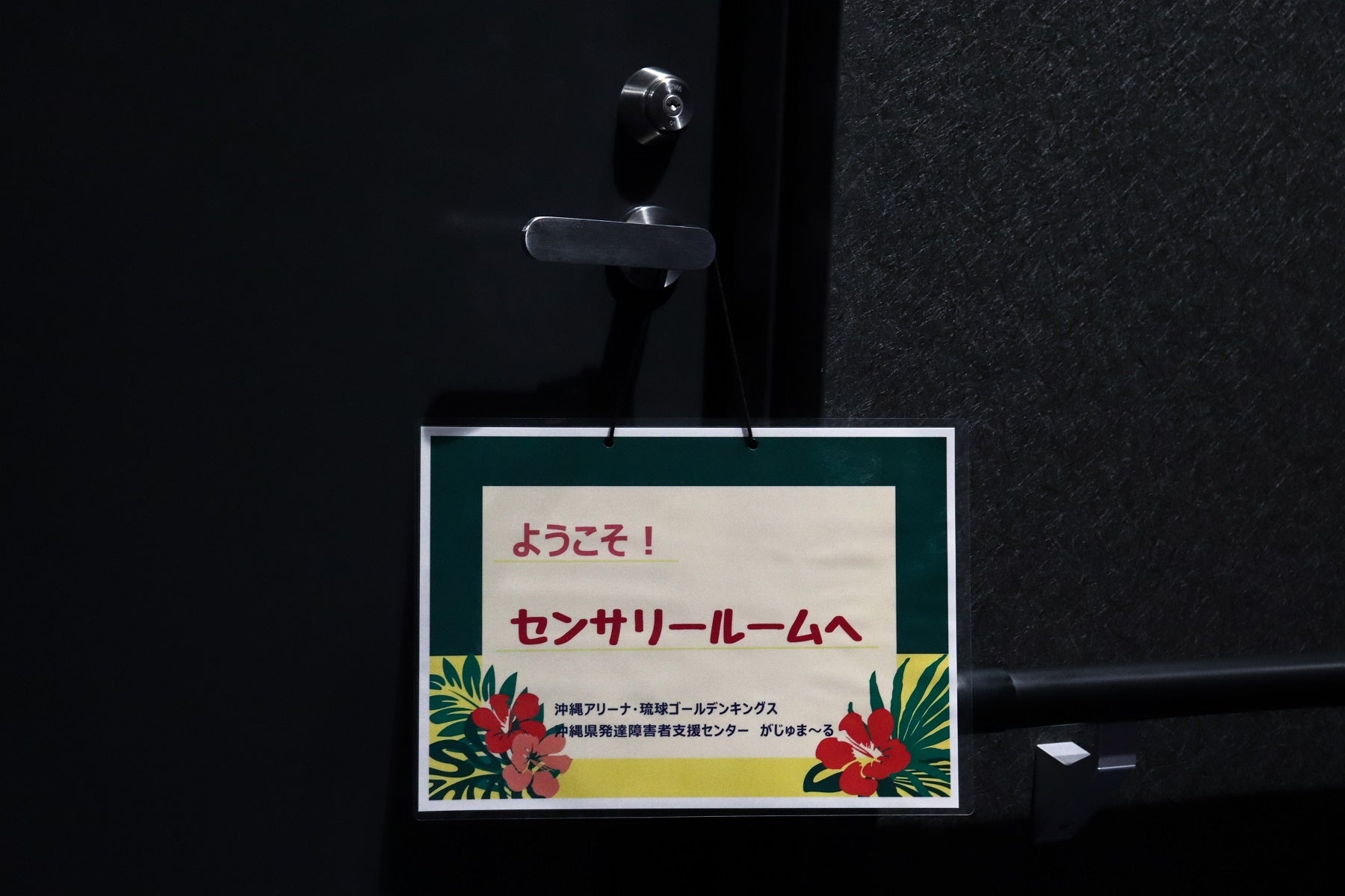 「木下グループ presents STARS ON ICE JAPAN TOUR 2023」 横浜公演開幕！最終日にライブ配信緊急決定！