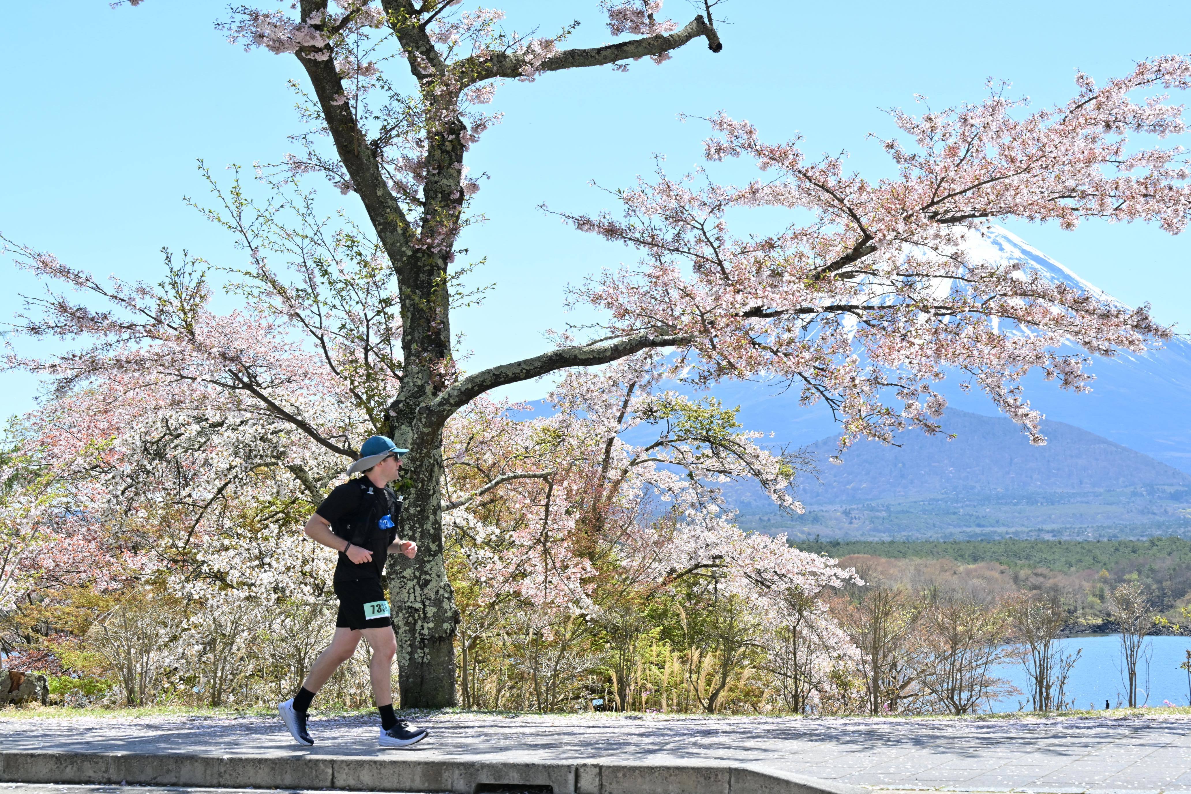 「第33回チャレンジ富士五湖ウルトラマラソン」が4月16日に開催
　ランナー3,500人、残花の富士五湖を駆け抜ける！
