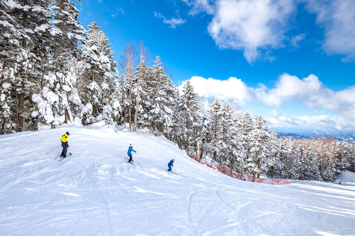 2023‐2024年冬シーズン　“NSDキッズプログラム”に群馬県「丸沼高原スキー場」の参加が決定！