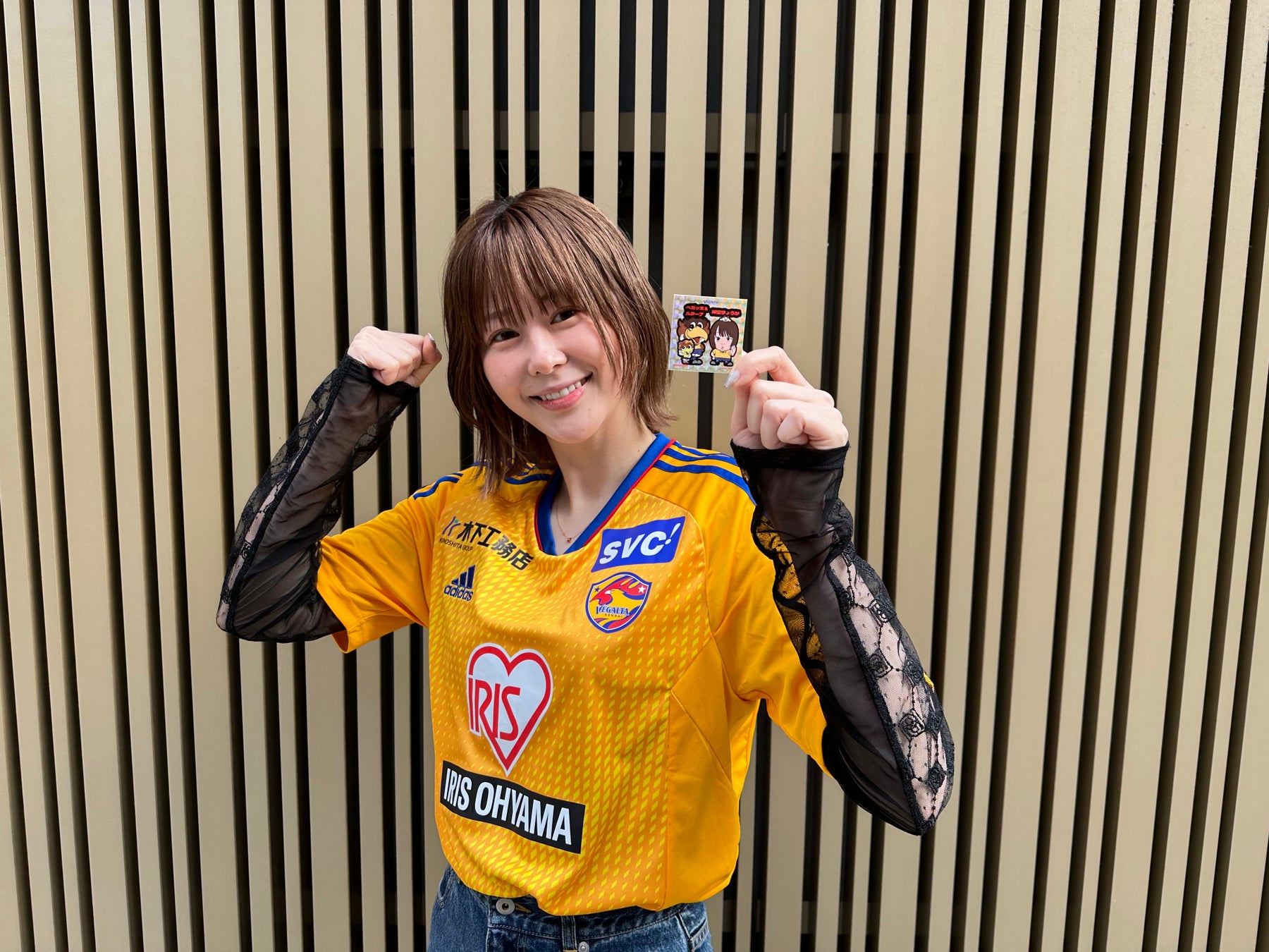 成都ユニバーシアードのマスコット「ロンバオ」がお持ち帰りを待っています