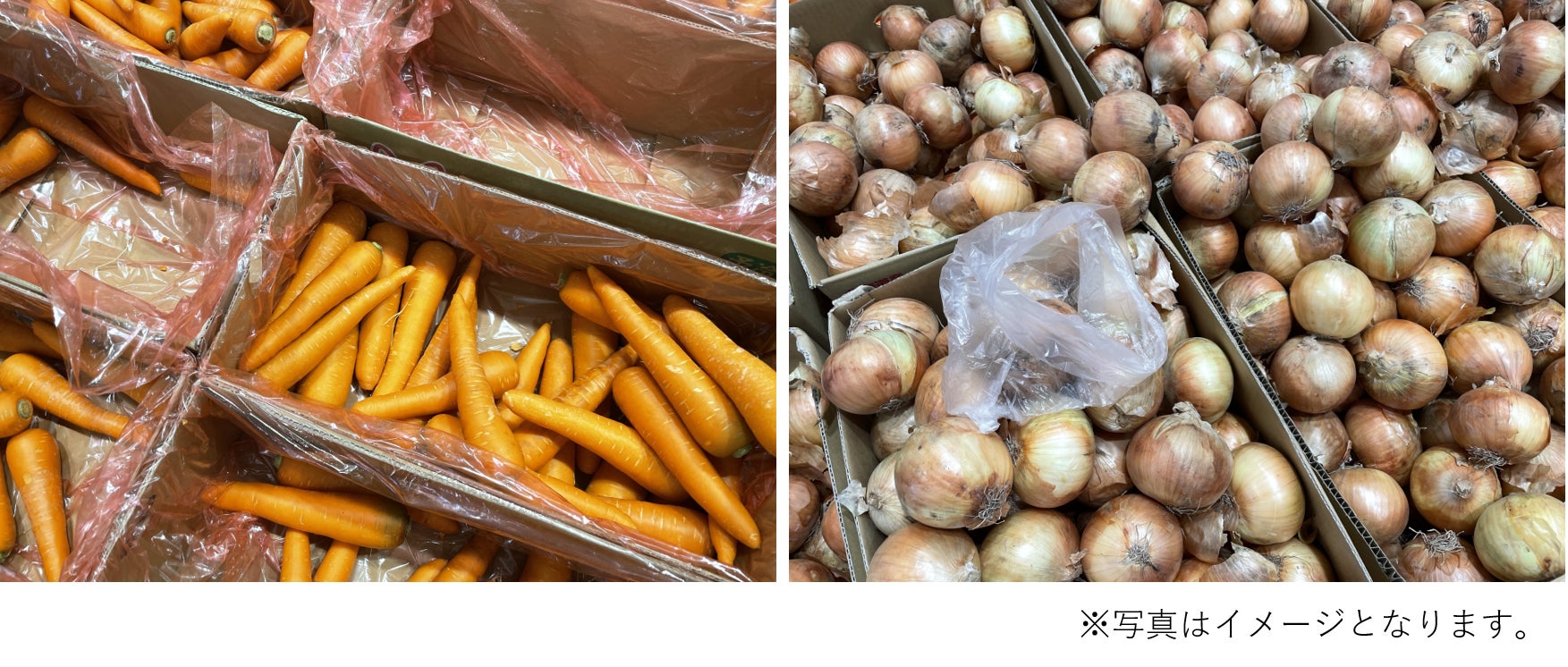 STANLEY(スタンレー)より、湖の最も美しい表情をうつした特別なカラー「ハンマートーンレイクブルー」が、日本限定特別仕様のロゴをまとって2023年8月10日(木)より発売開始!