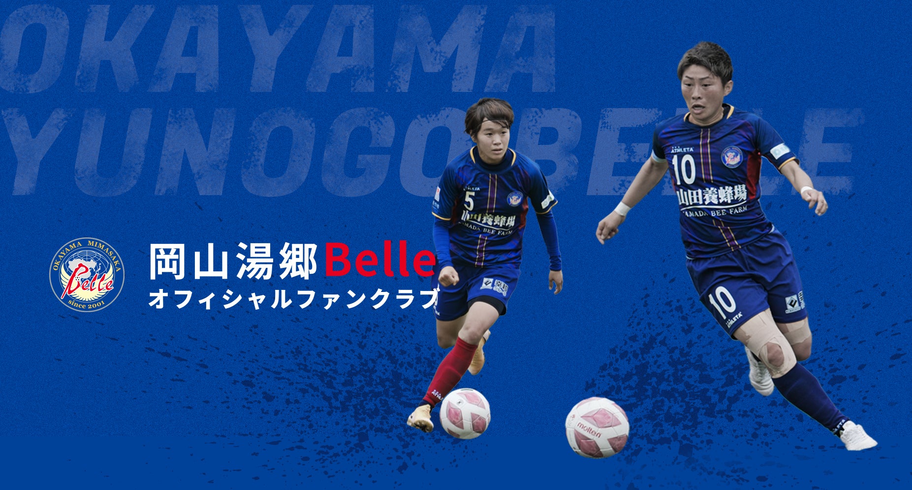 アチーブメント株式会社はレーシングドライバー平川亮選手を応援しています