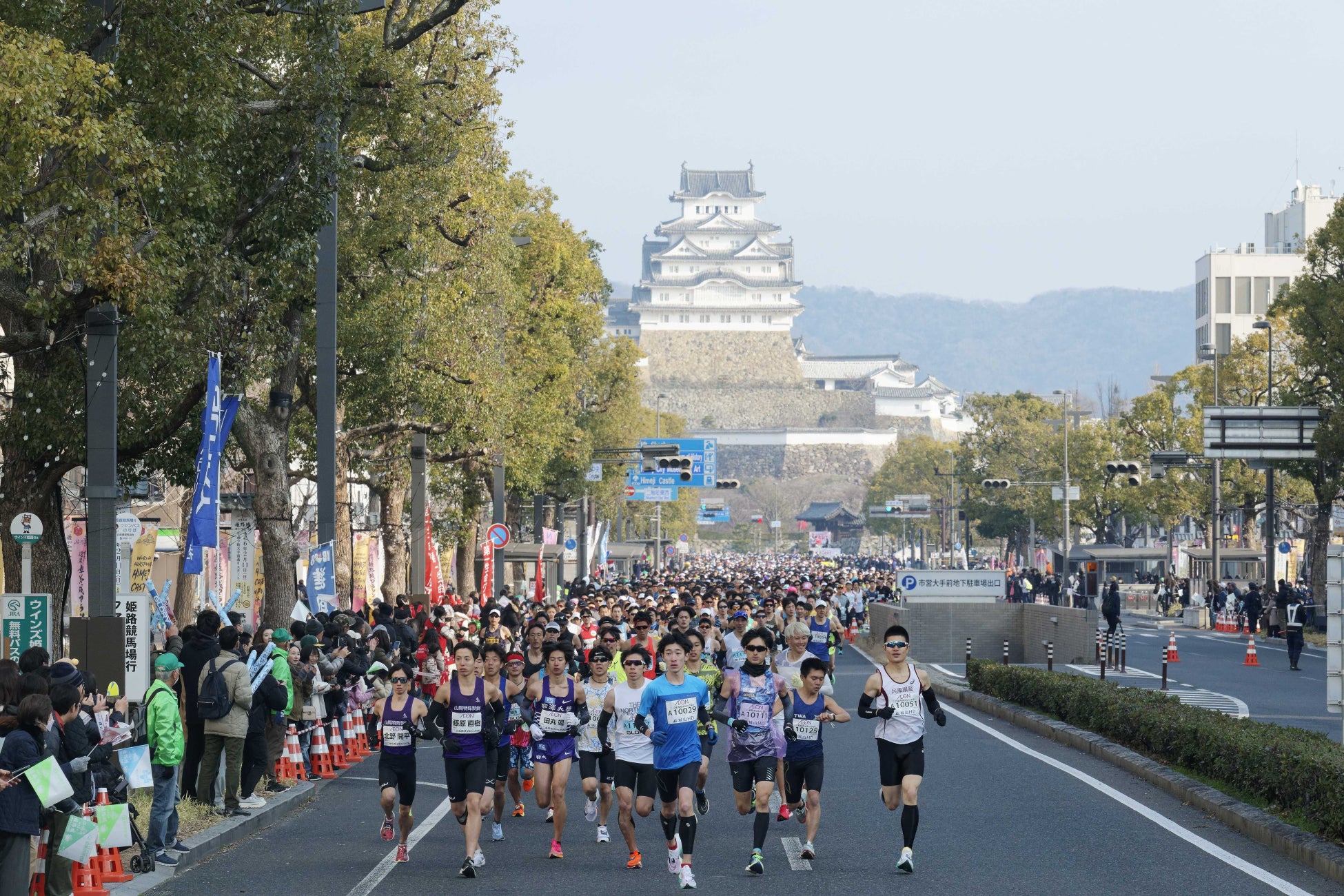 令和六年　秋巡業　大相撲　彦根場所