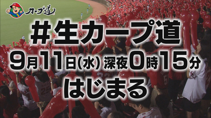 シモジマ冠協賛試合「シモジマデー」開催のお知らせ　9/14（土）阪神タイガース vs 広島東洋カープ（振替試合）