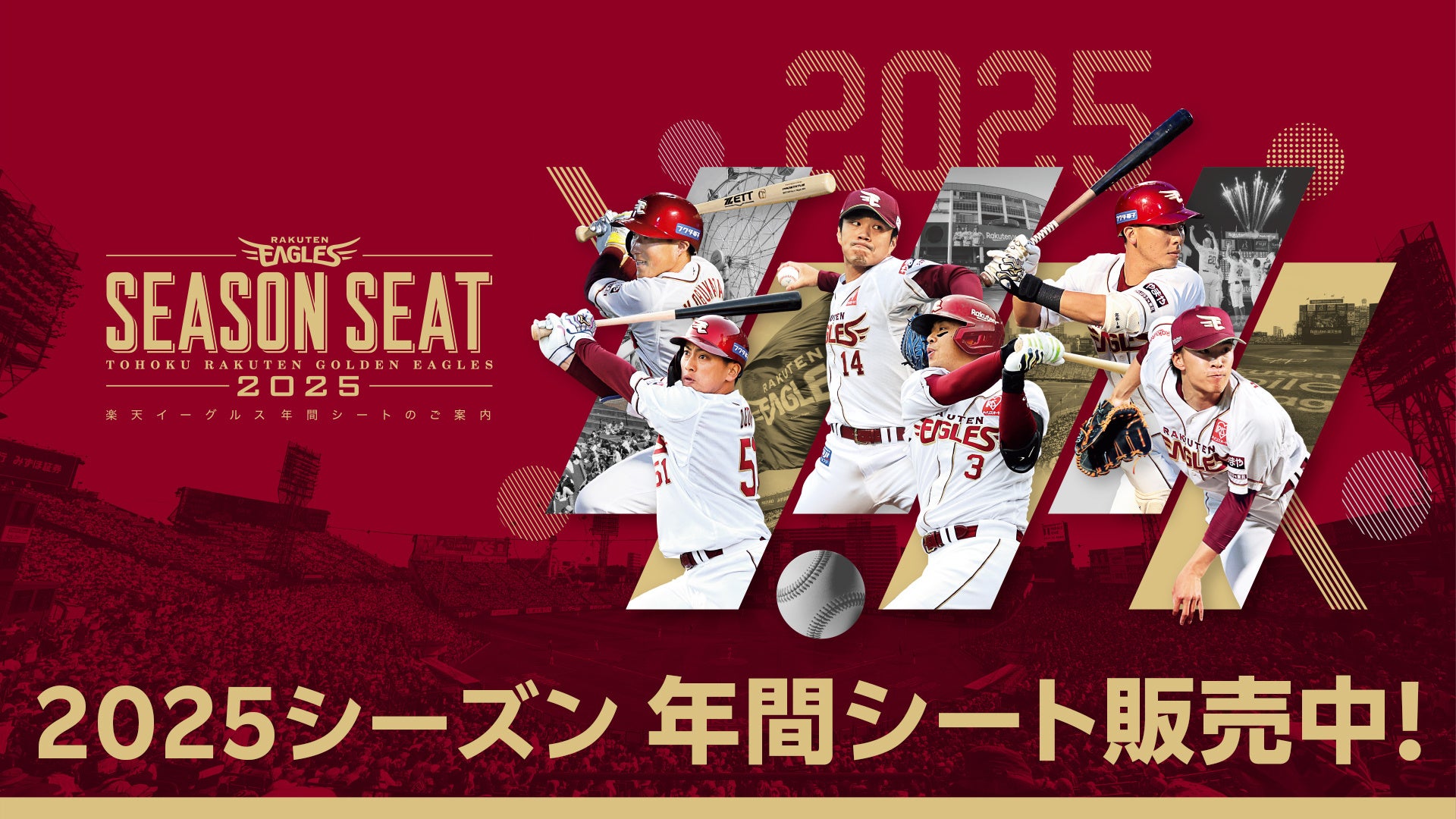 ノジマTリーグ 2024-2025シーズン 公式戦 9月27日開催 日本生命レッドエルフ vs 京都カグヤライズ ベンチ入りメンバー発表