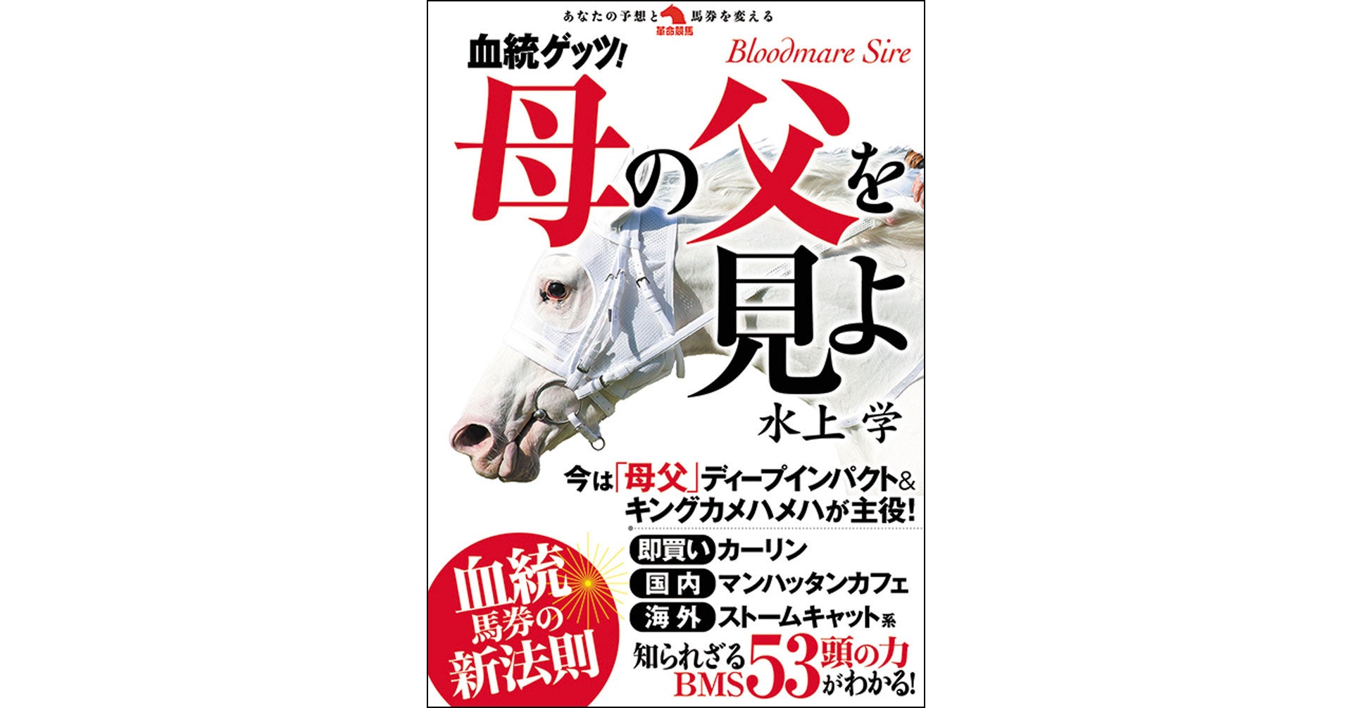 【10月13日出演！】日本フットサルトップリーグ 松井大輔理事長が「北海道vs葛飾」にスペシャルゲストとして登場！【Ｆリーグ2024-2025 ディビジョン2】今こそ最高のフットサルを