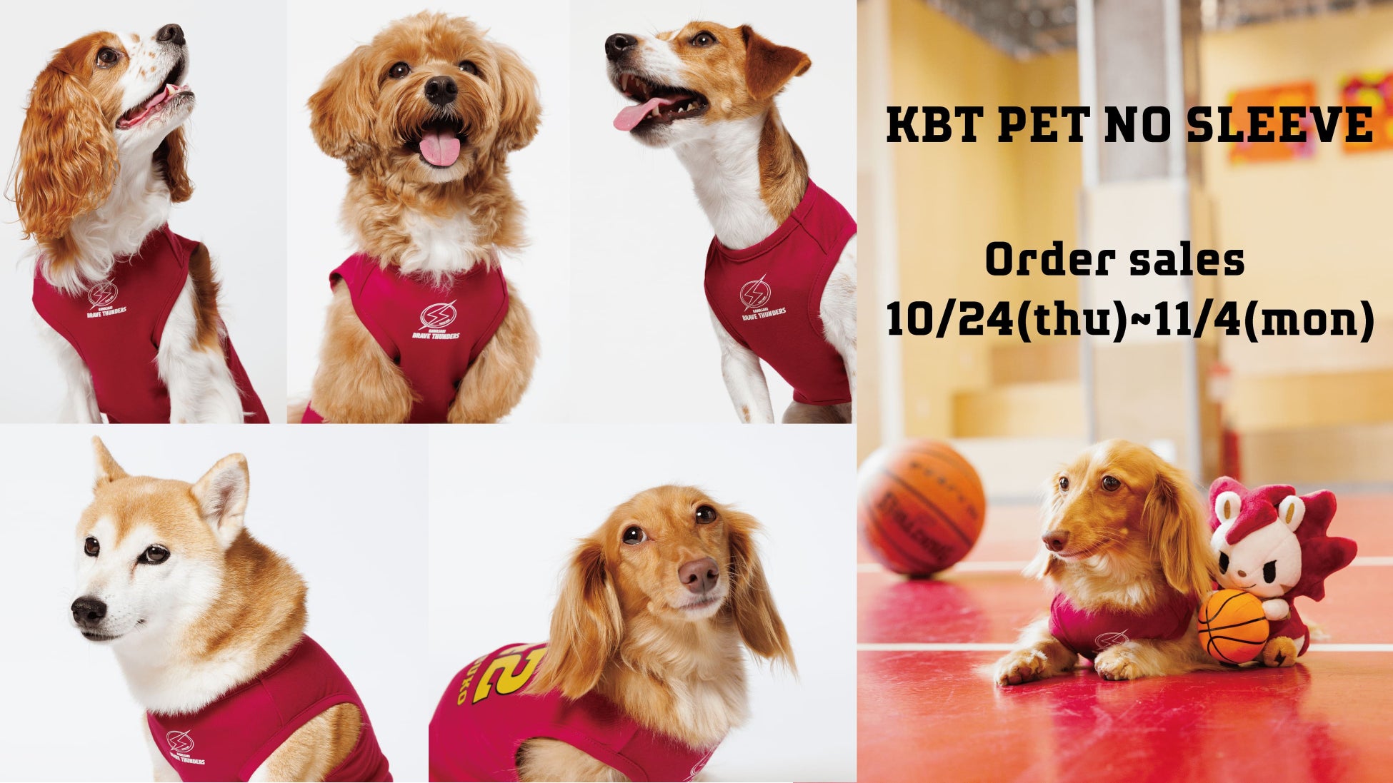 11月1日は「犬の日」｜川崎ブレイブサンダース初のペットウェア「PET WEAR」を販売