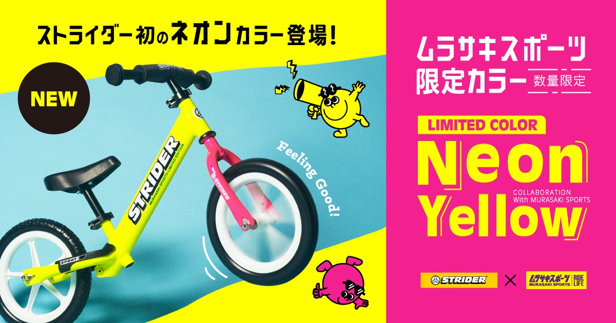 日本フレスコボール協会（JFBA）、2024年度の日本代表選手＆年間賞を決定。代表選手は国際大会への出場権を獲得。