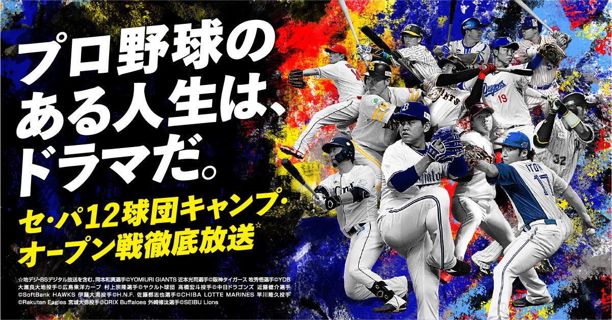 球春到来！2025シーズンも春季キャンプ初日から応援　セ・パ12球団のオープン戦・公式戦を生中継＆ライブ配信　-「J:COM TV シン・スタンダード」なら3カ月間月額500円*1-