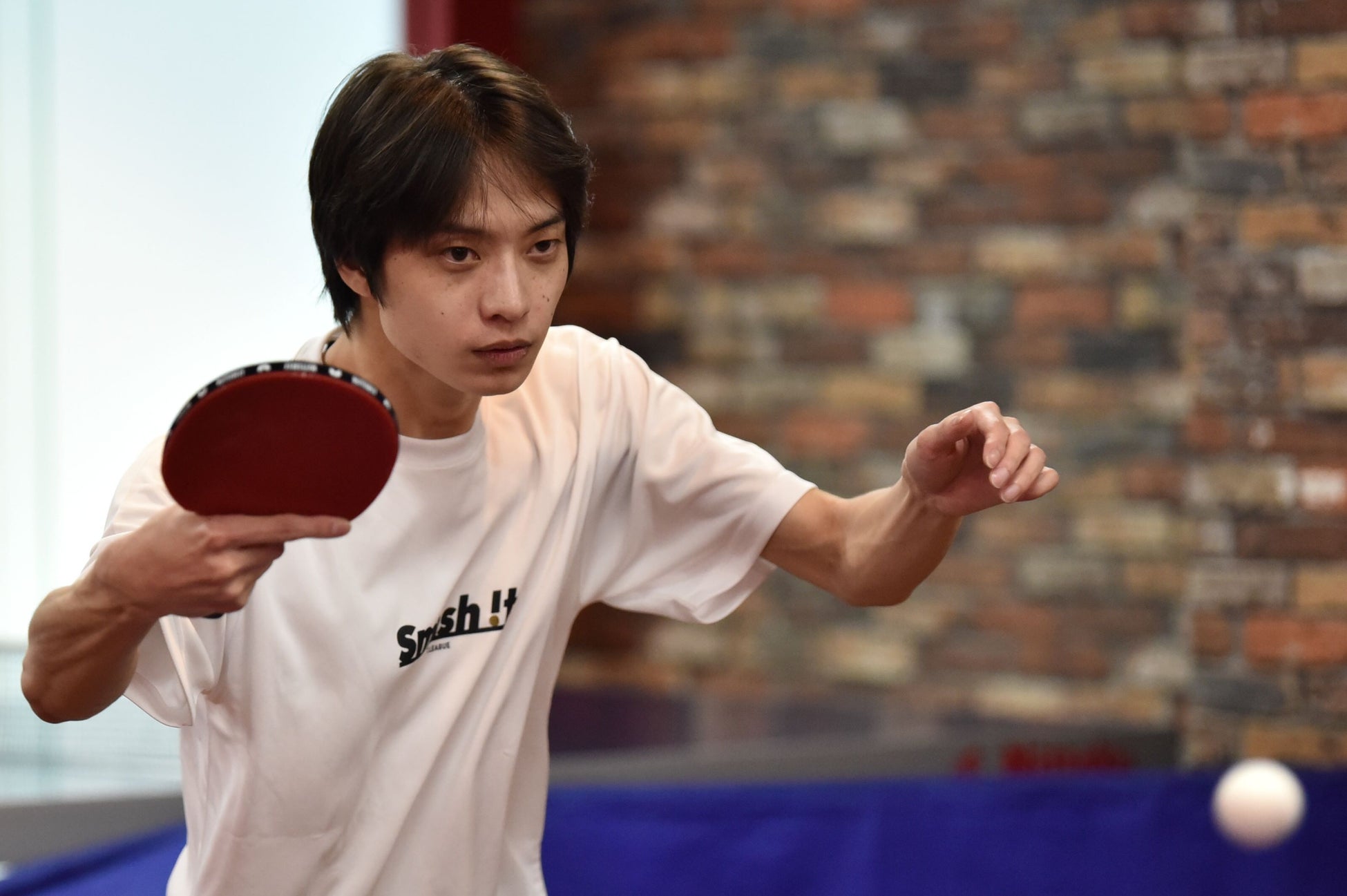 株式会社新宝島ホールディングス トップパートナーに決定