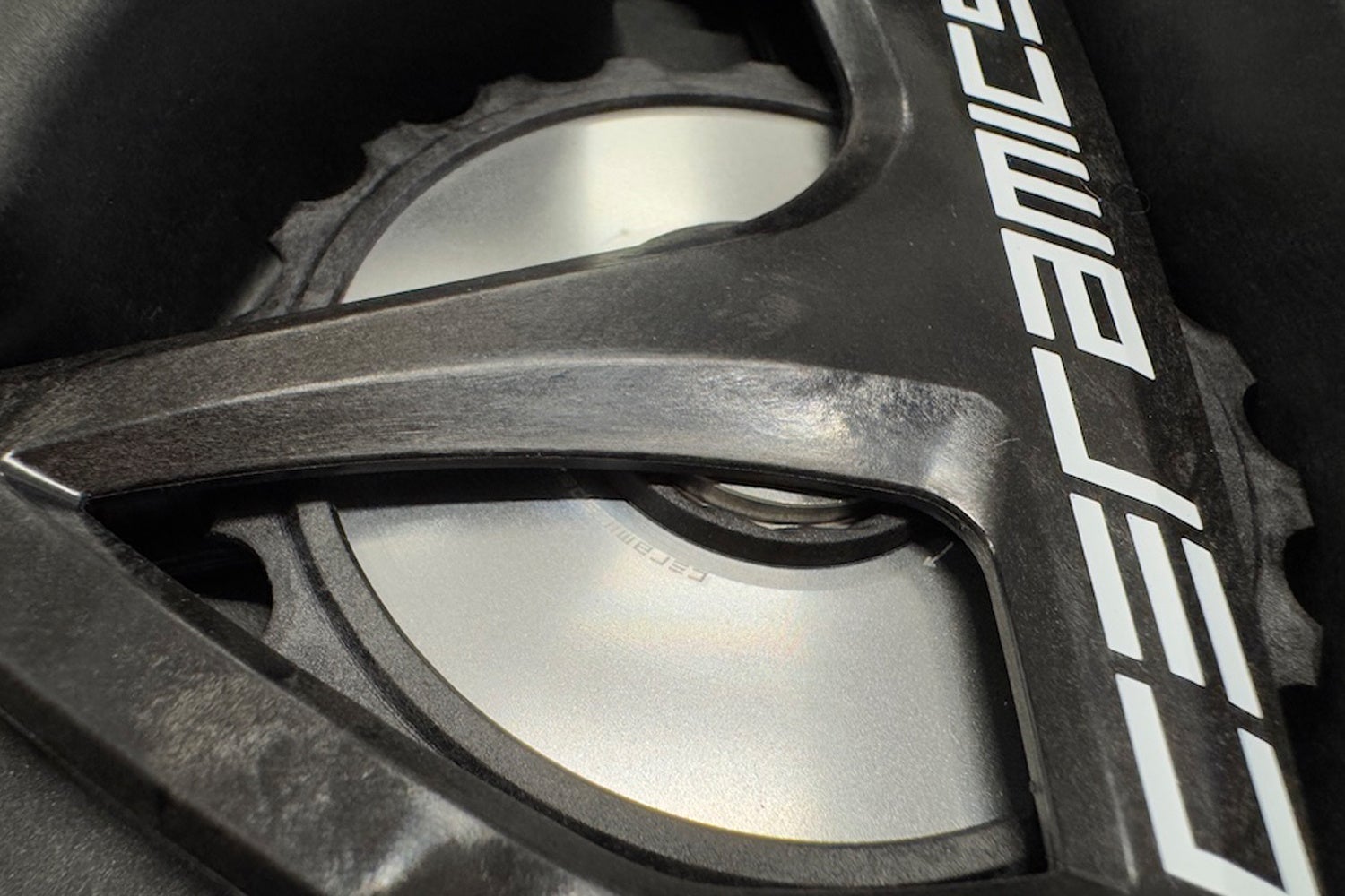 桜をバックに!ヒカリの国の忍者修行(3/29)&ティラノサウルスレース(3/30)開催・参加者募集&ボランティアメンバー募集開始