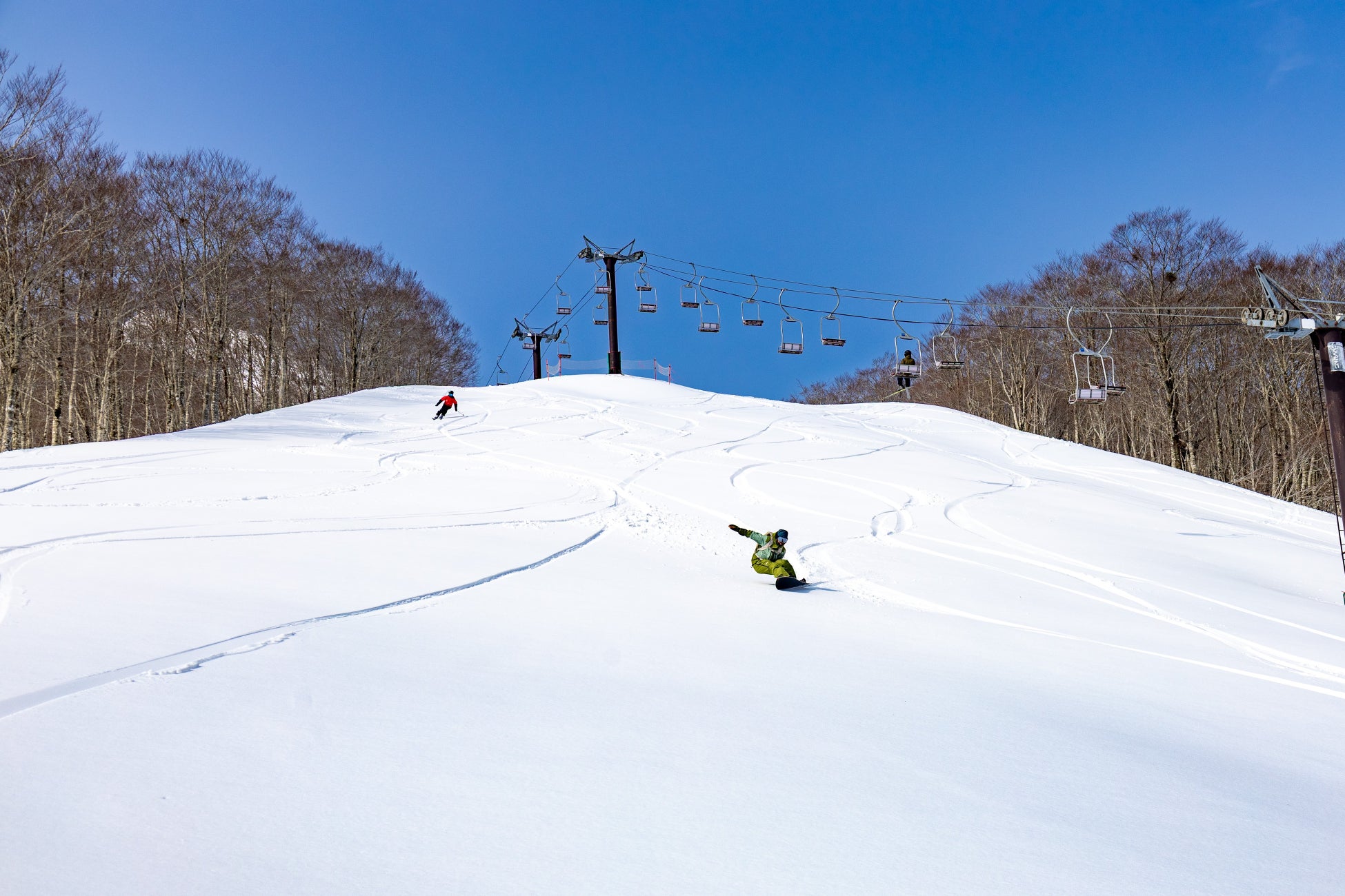 【ネコマ マウンテン】山頂積雪は約250cm！過去5年間で最高の積雪量を記録し、5月6日までのスキー場営業が確実になりました。
