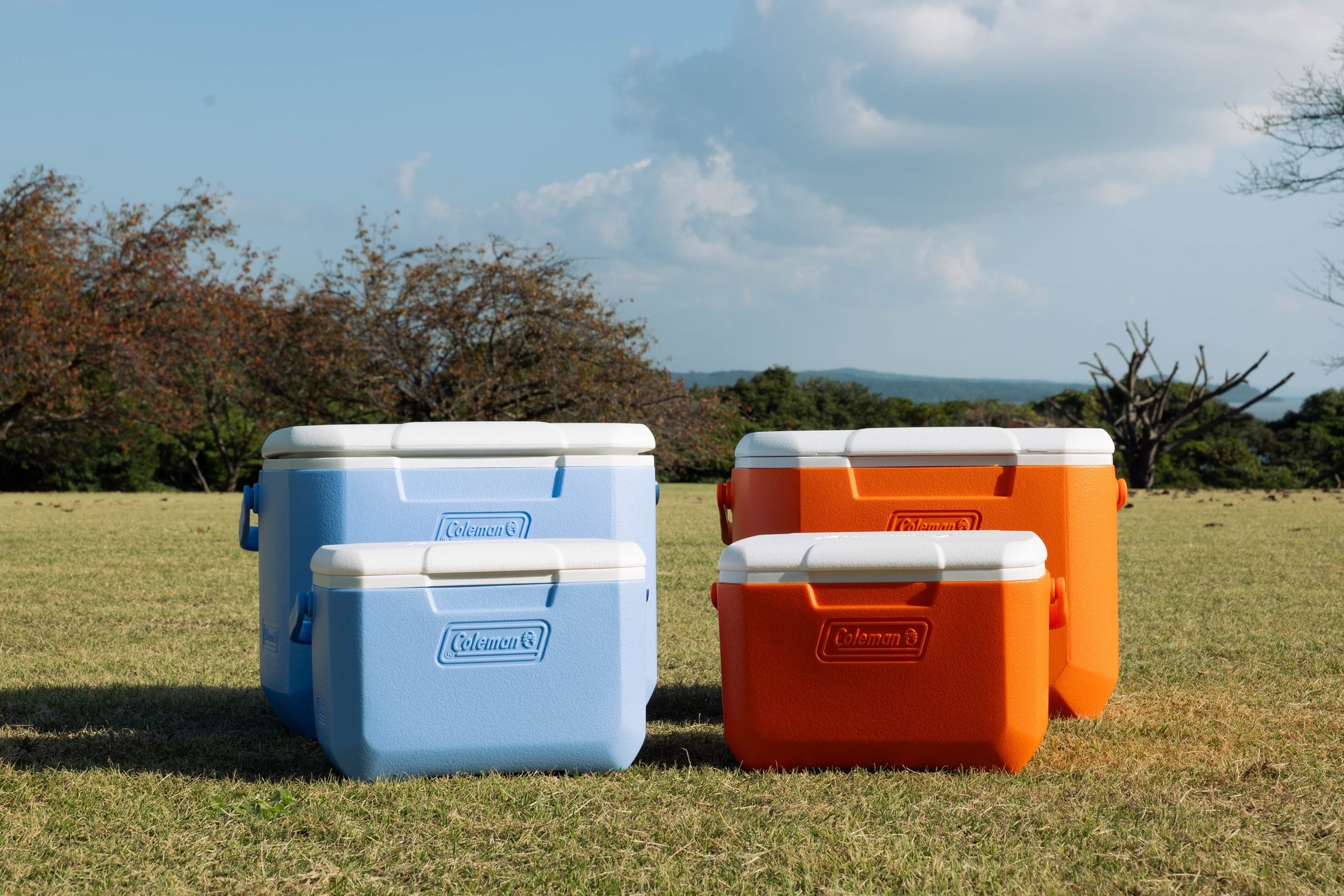 卓球のバタフライ まち歩きイベント「あさがやPICNIC2025」に協賛