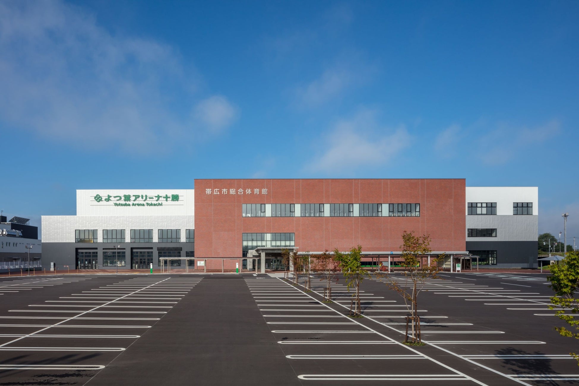 🔥 本物の迫力!幕内力士 栃大海関と春日野部屋力士たちが入間集結 🔥