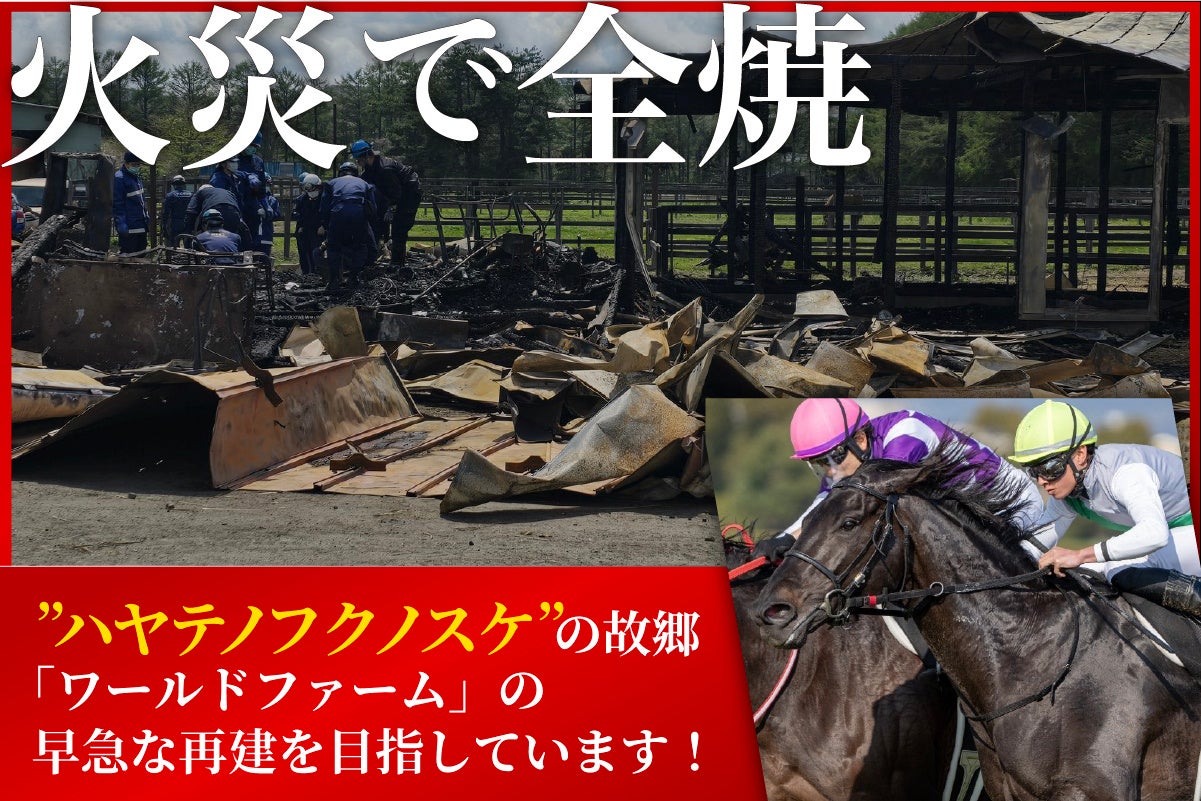 女子アスリートの“髪悩み”にはKINUJO!「B&」タイアップショートインタビュー公開中