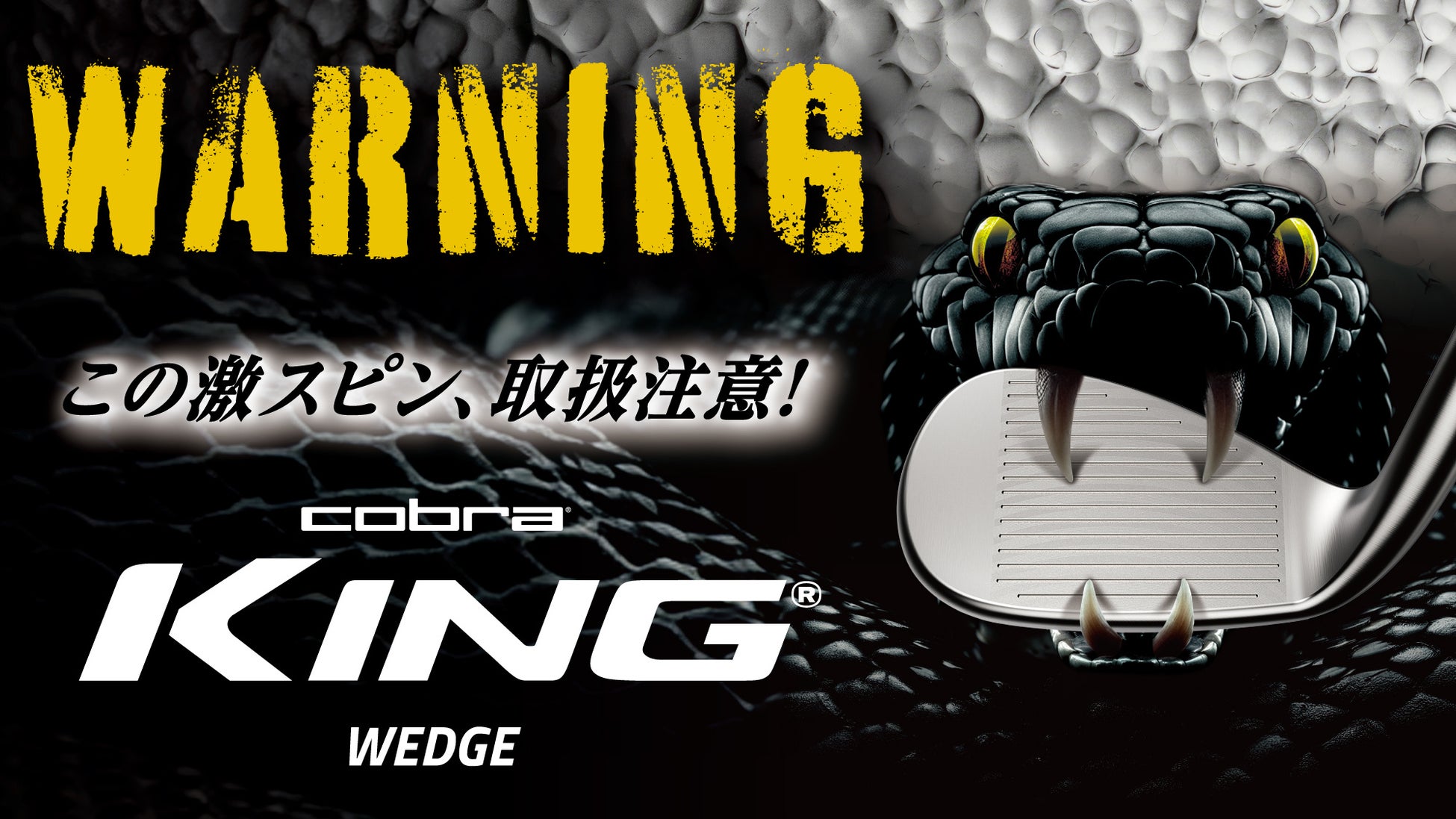 枚方スイミングスクール、世界を目指す挑戦、再び。更なる高み「頂」を目指すためにクラウドファンディング「枚方から世界の頂へ　～未来あるスイマーたちの妥協なきチャレンジ～」をスポチュニティで本日開始！