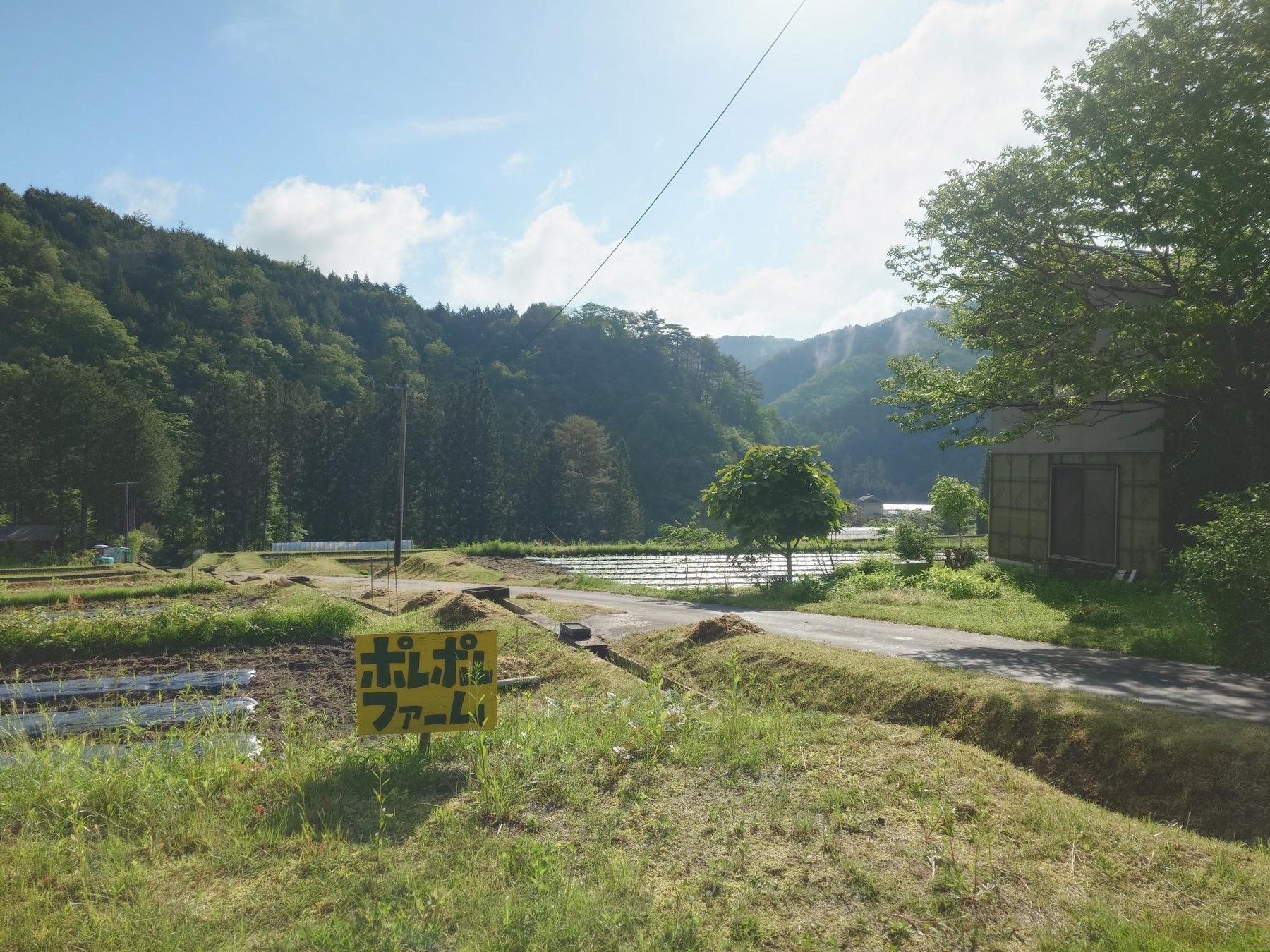 プロサッカー選手・宮澤 弘選手と2025年5月よりスポンサー契約を締結！セカンドキャリア支援でIT学習「CyTech」を無償提供