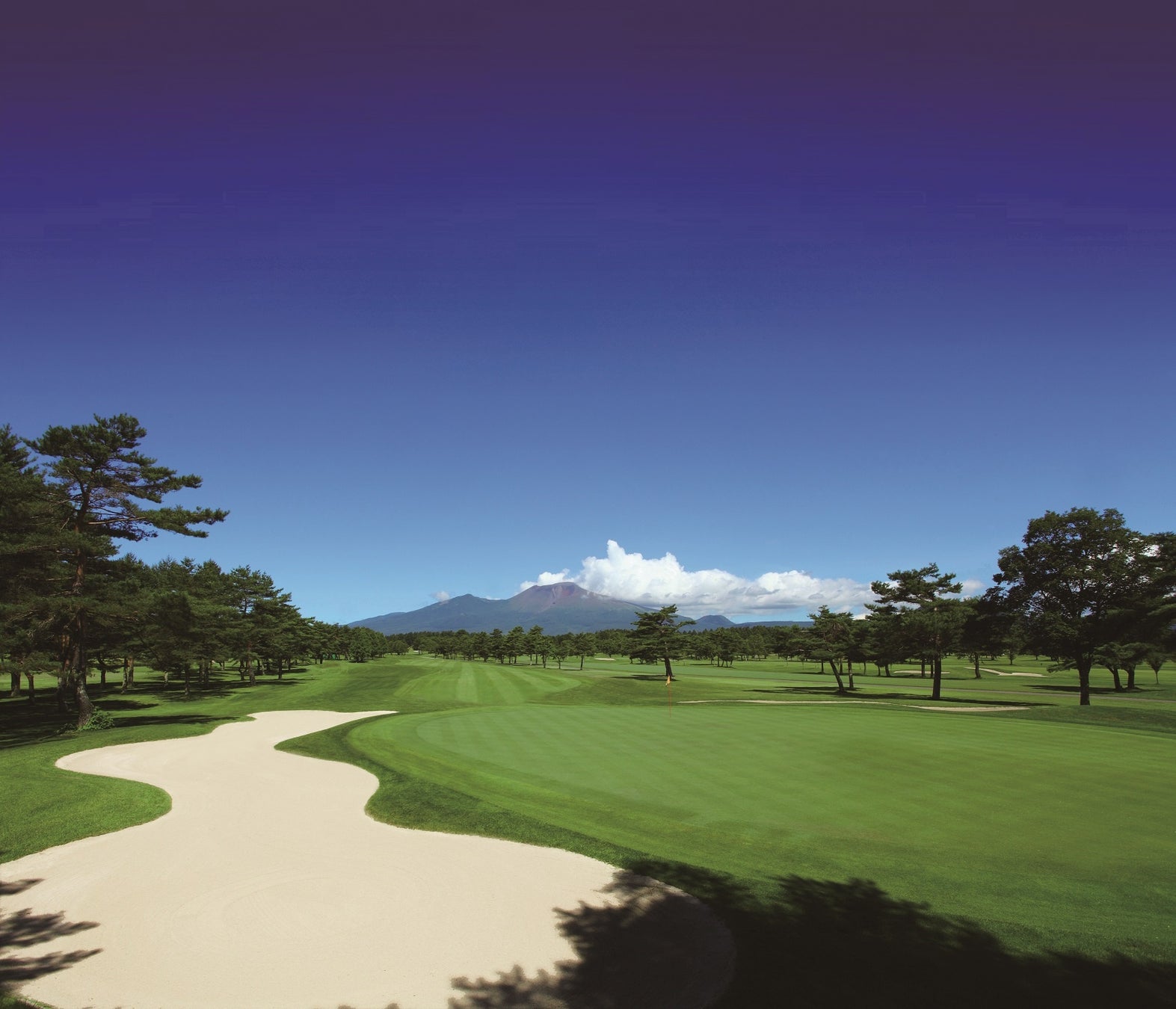 誰もが熱く、自由に!【昭和西川】パラスポーツ×カルチャーの祭典『CENTERPOLE PARA-SPORTS DAY』10周年記念イベントに協賛