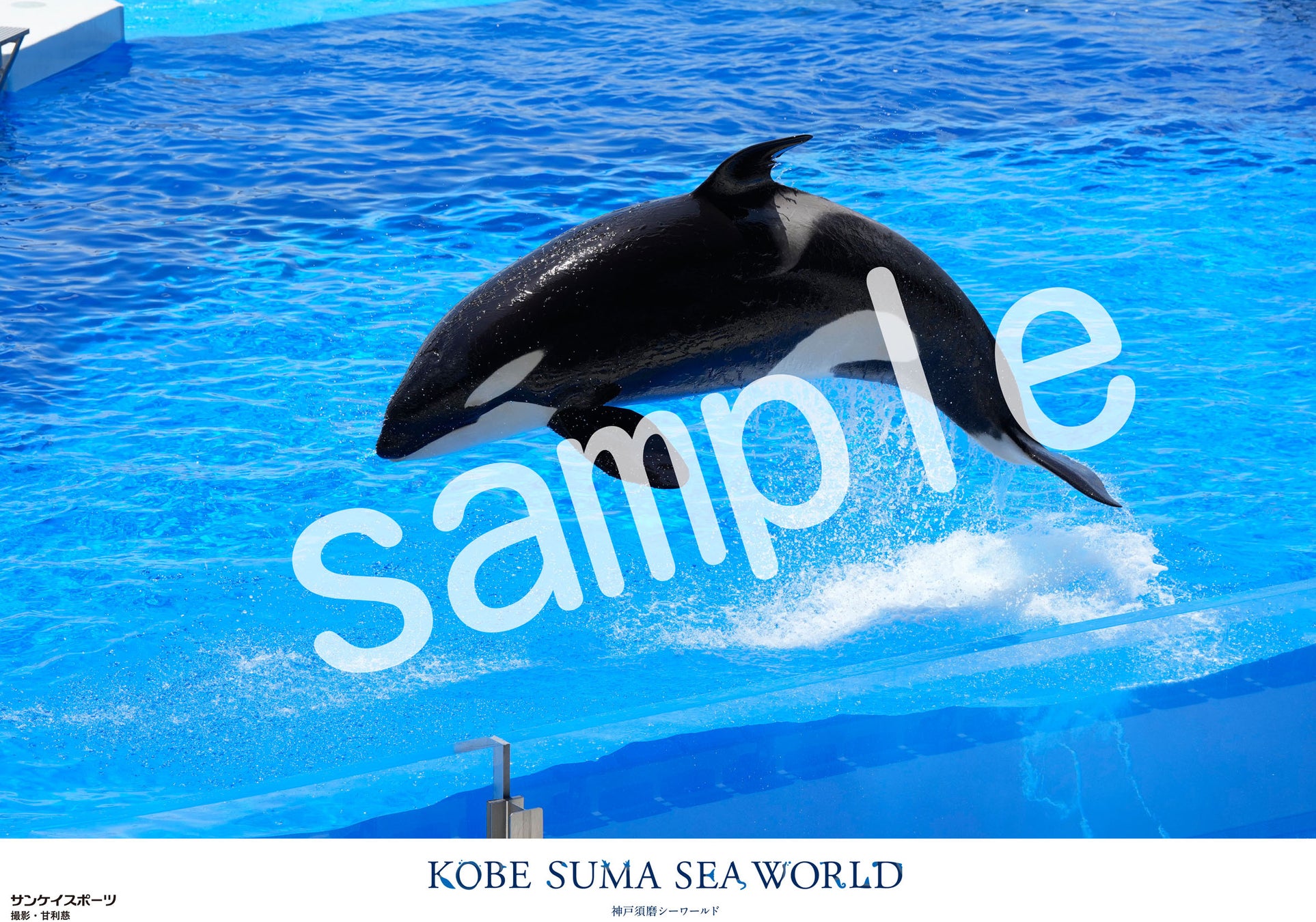 Ｓｋｙ株式会社はテレビ大阪プロ野球中継「ナマ虎スタジアム」6月17日 阪神タイガース 対 千葉ロッテマリーンズ戦の番組提供スポンサーを務めます