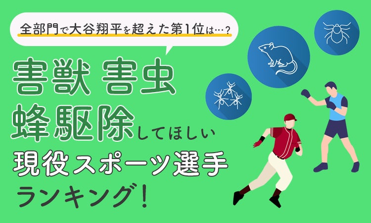 スポオクにて、三遠ネオフェニックスが2024-25シーズン THANKS AUCTIONを6弾にわたって開催