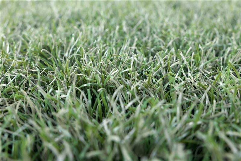 日本初開催!WORLD JUMP ROPE CHAMPIONSHIPS 2025が川崎で開催されます!