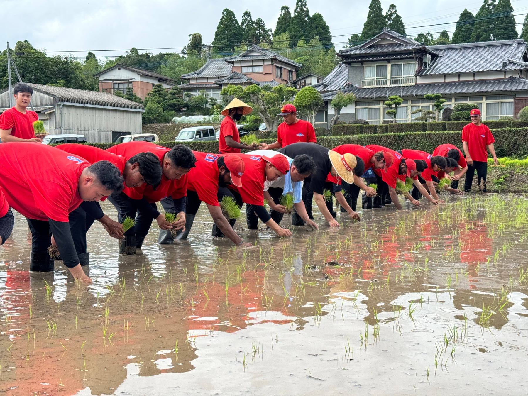 2025-2026シーズン 登録完了選手(2025年6月17日付)