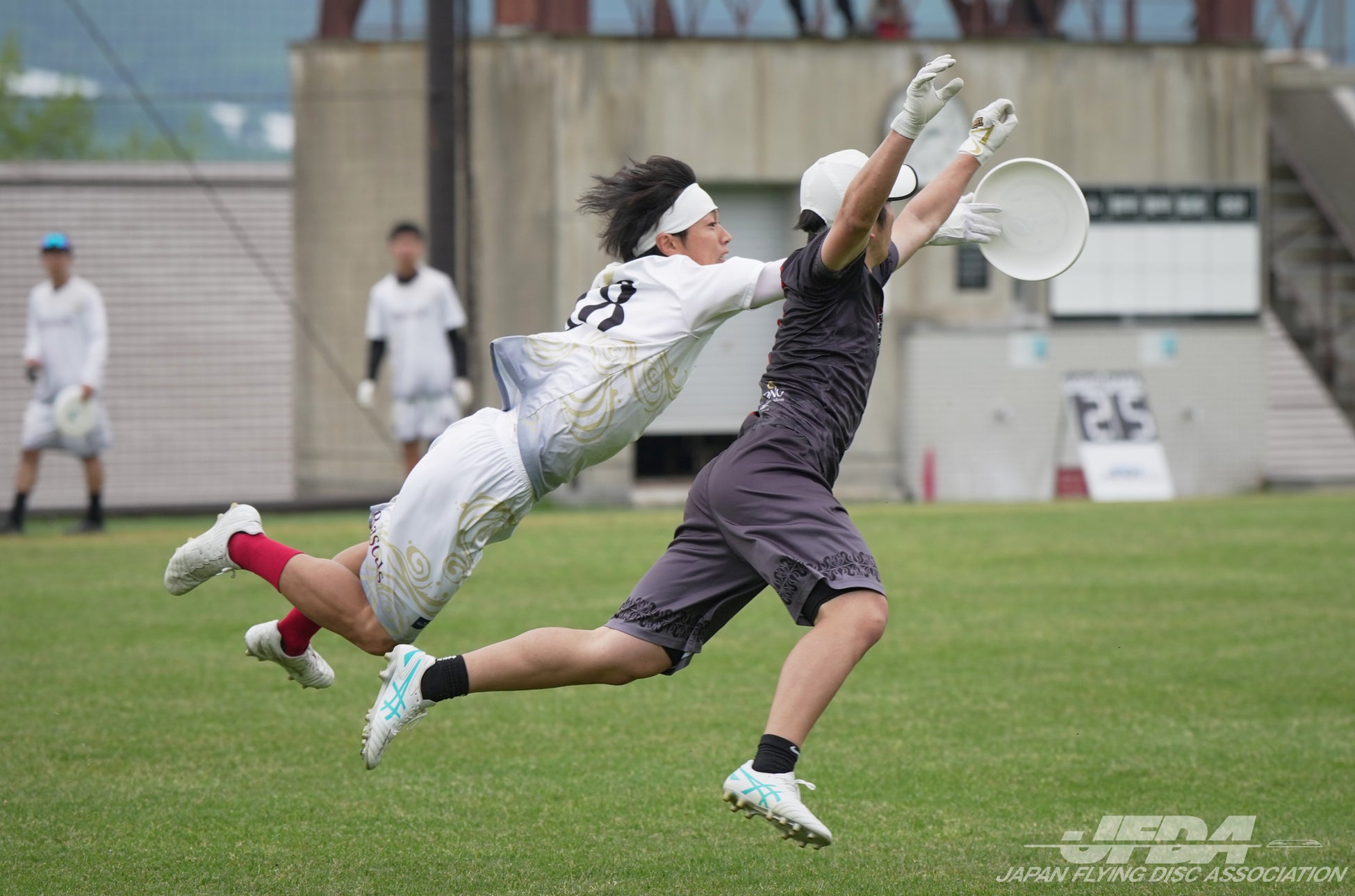 ニュージーランド発 IRANZ が日本初上陸!