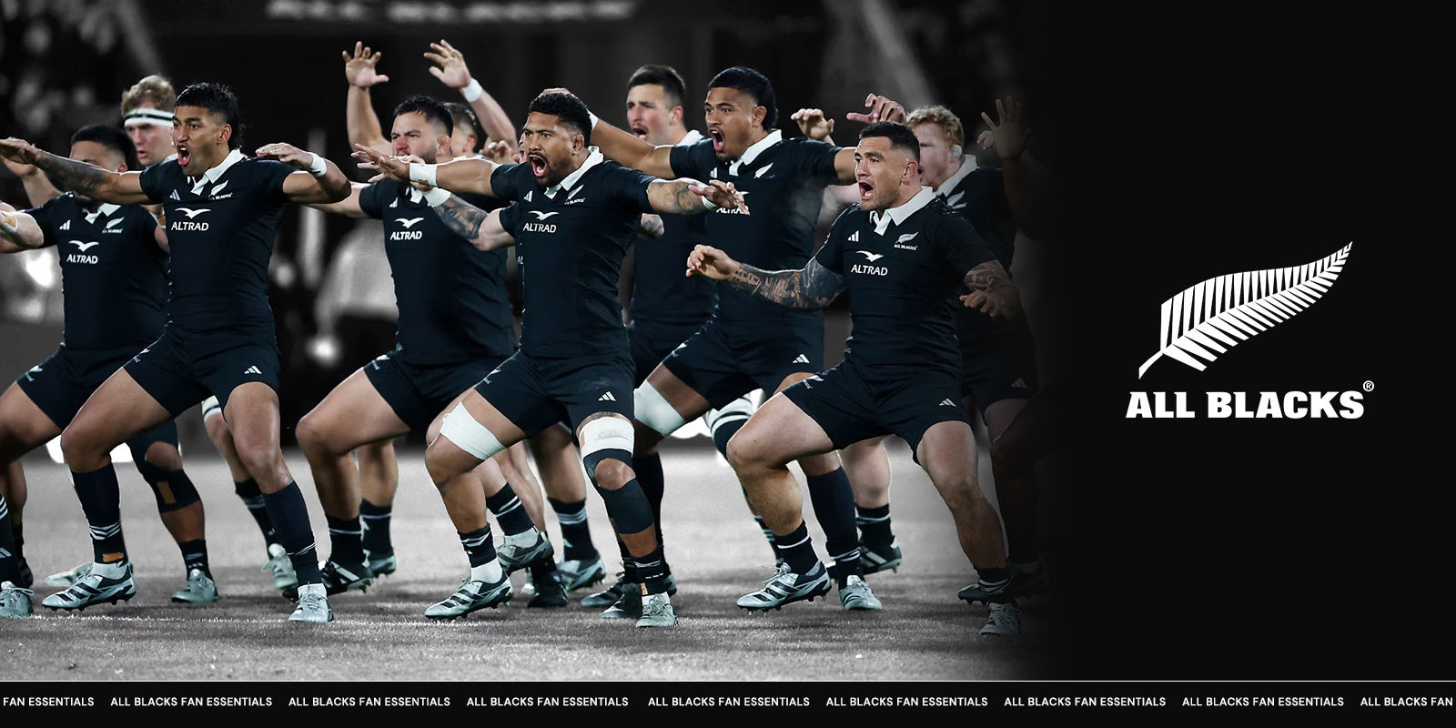 JSPO(日本スポーツ協会)令和7・8年度 代表理事および業務執行理事の選定について