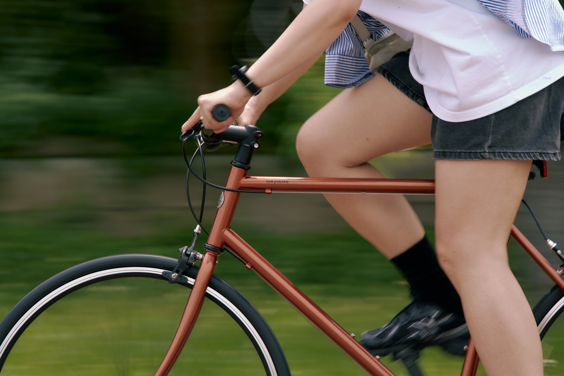 【株式会社ドットライン】元日本代表・手塚大選手が加入、千葉ジェッツ創設者・梶原健氏がCOO就任| Vリーグチーム「千葉ZELVA」新体制発表 記者会見実施のお知らせ