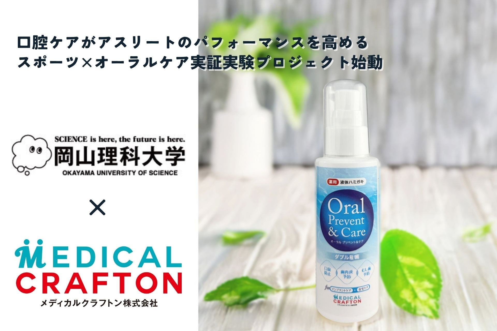 【東京グレートベアーズ】SVリーグと台湾プロリーグの計6チームが参加する合同プレシーズンマッチが台北で開催決定!