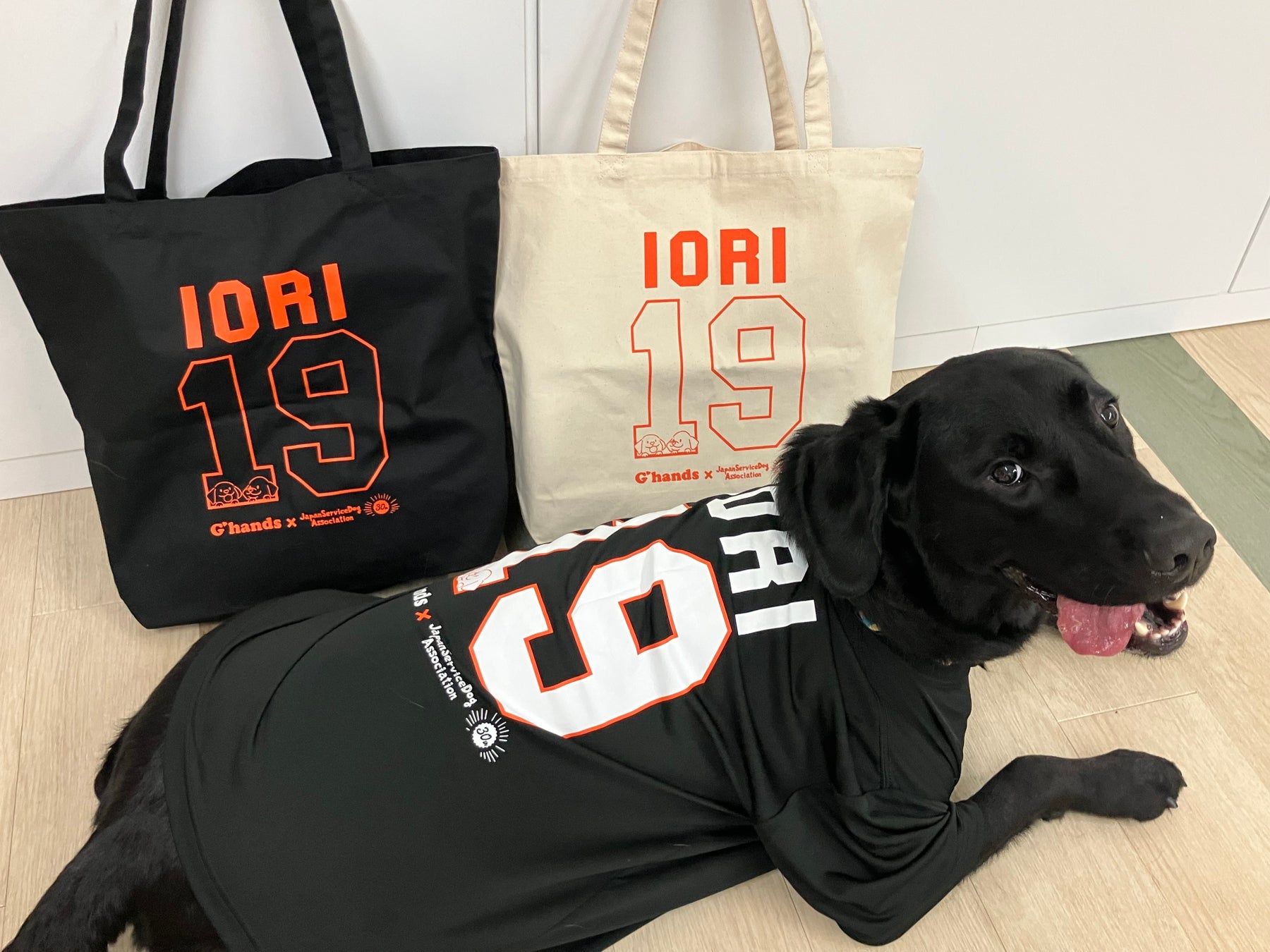 サロモン メンバーシップ プログラム「S/PLUS」メンバーに特別なサービスを提供する“サロモン ライフスタイル パートナー”を新たに迎えたパートナーを含めご紹介