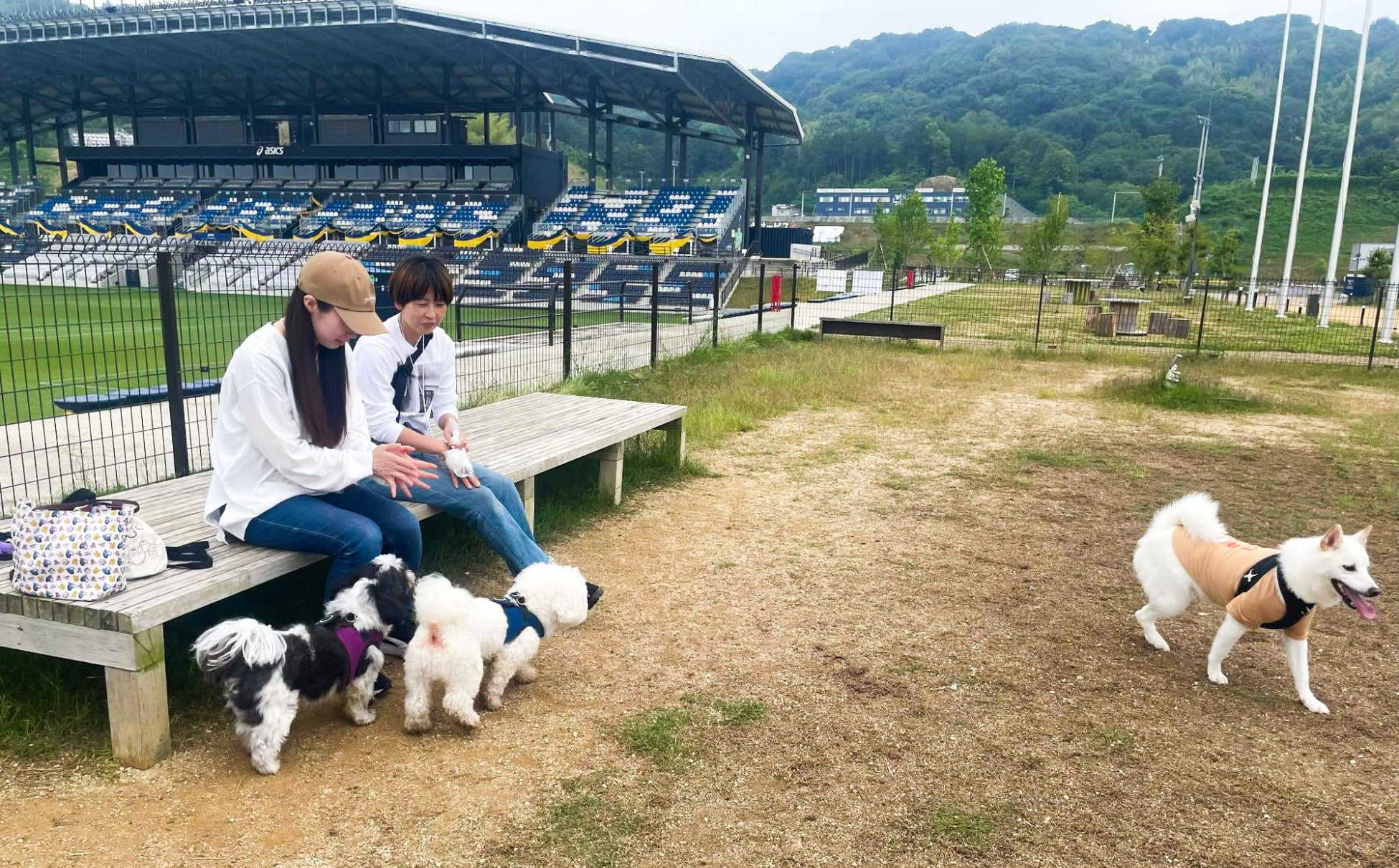 「FIT-EASY CUP 2025」Supported by BULL 6 月 28 日(土) 午前 10 時~ 観覧チケット販売開始!