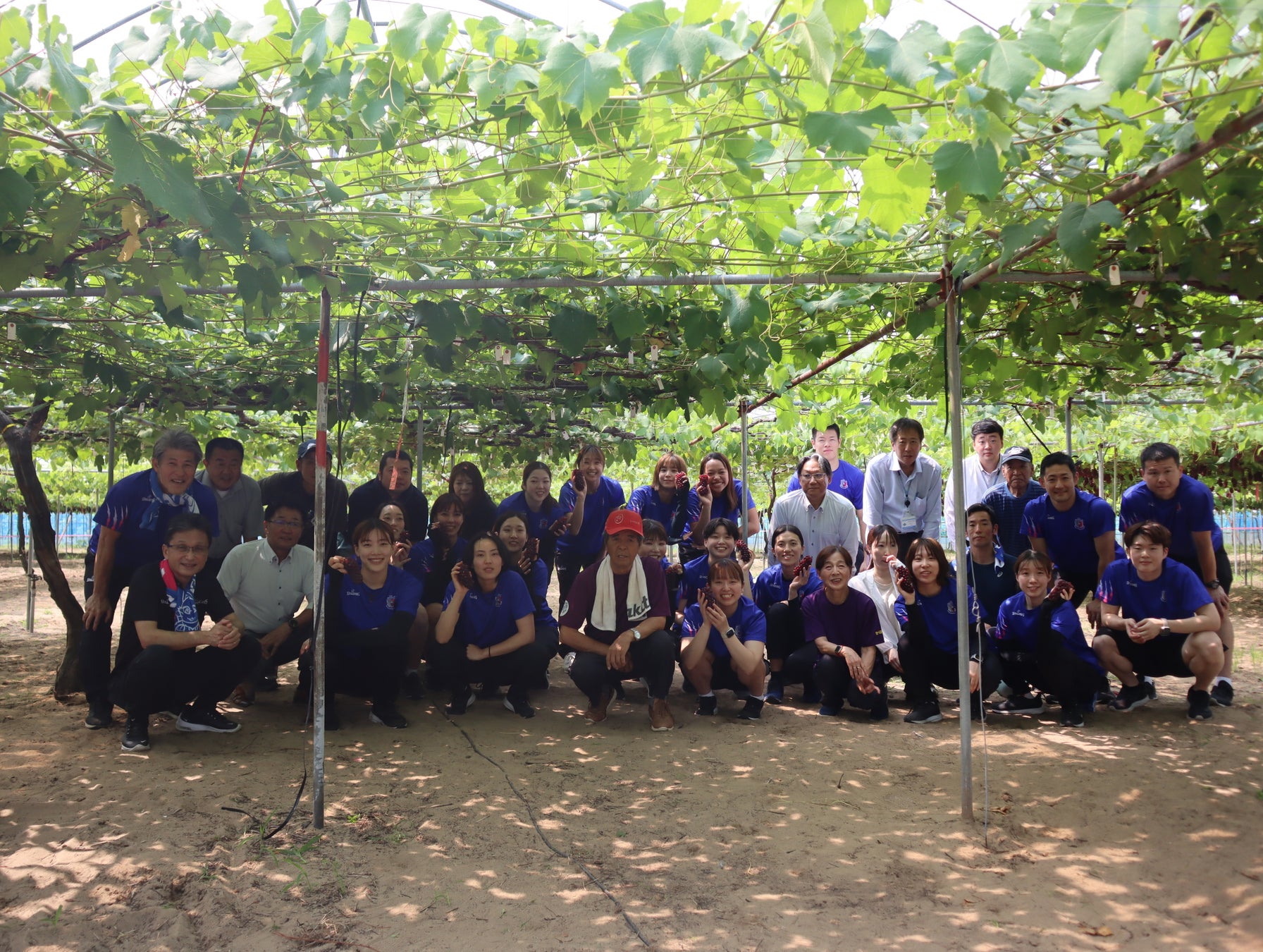 9.7「K-1 WORLD MAX」代々木大会開催決定 16名参加70kg世界T開幕戦開催!“イランの英雄”シナ・カリミアン、母国の平和訴え「9月の試合で勇気を与えたい」