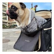 今年のツエーゲンは青春だ!ツエーゲン金沢が「アオハルナイト」開催!