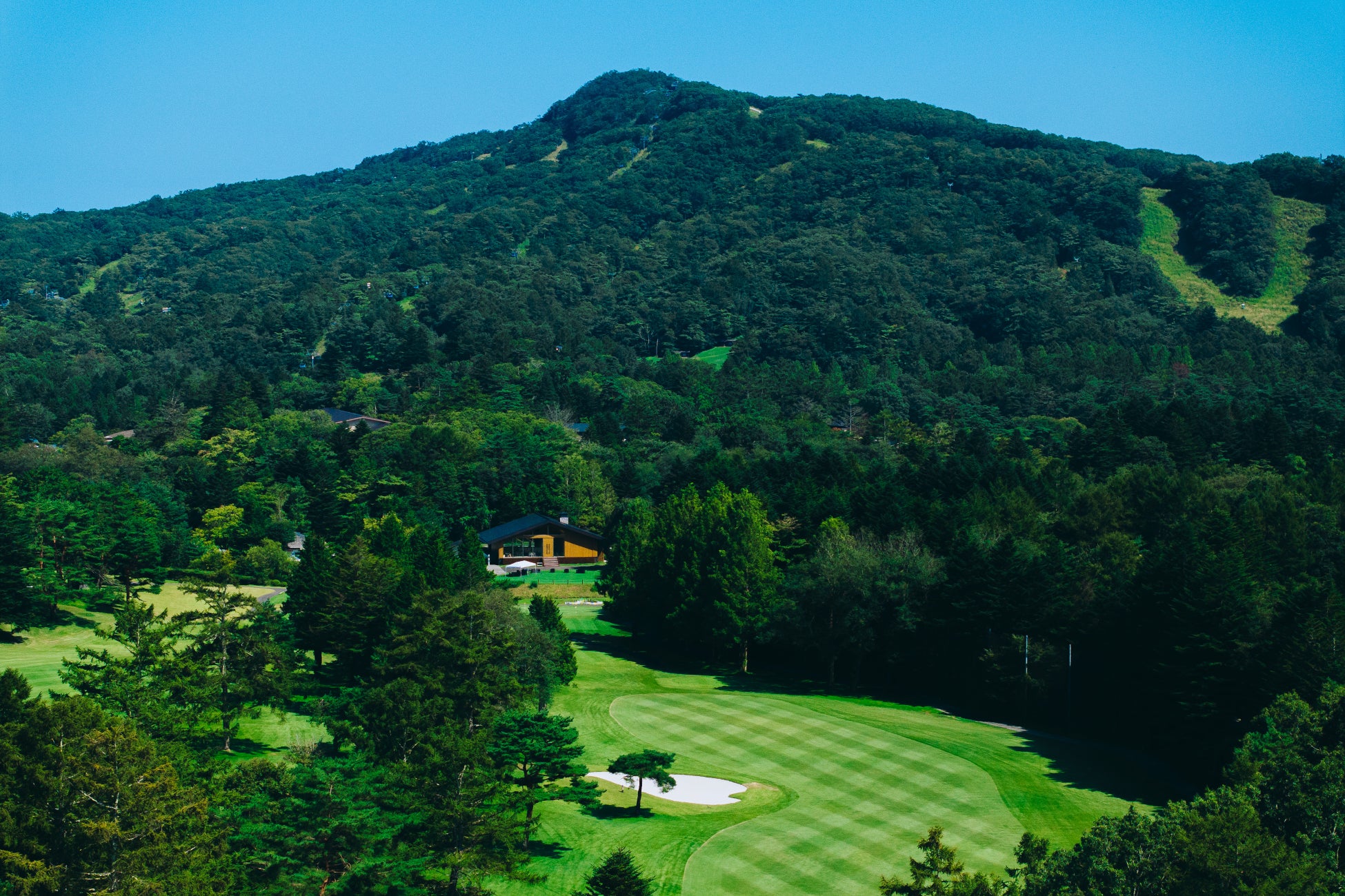 【参加費無料!】バスケットボールクリニック開催のお知らせ