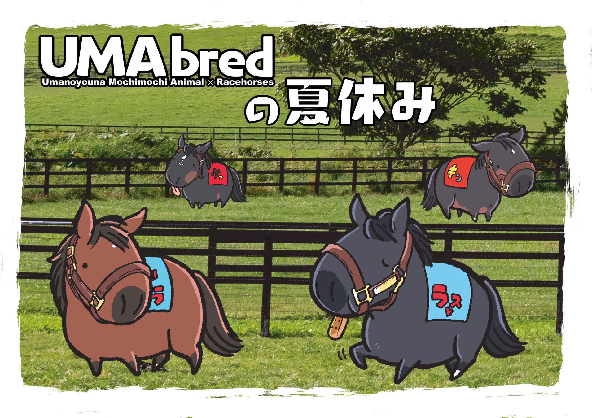 競走馬グッズブランド『UMAbred』が『UMAbredの夏休み』と題し、サテライトPOPUPを開催!7/25渋谷宮下パークでは「ハヤヤッコ×冷ややっこ」グッズを販売!