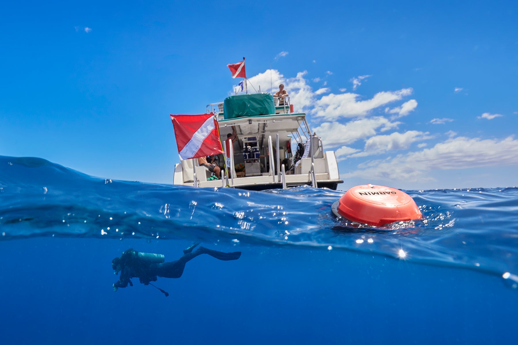 Tリーグ公式「T.LEAGUE OFFICIAL DIGITAL CARD」シーズンアップデート!全200枚以上の新カードが一挙登場!お得なキャンペーンも開催!