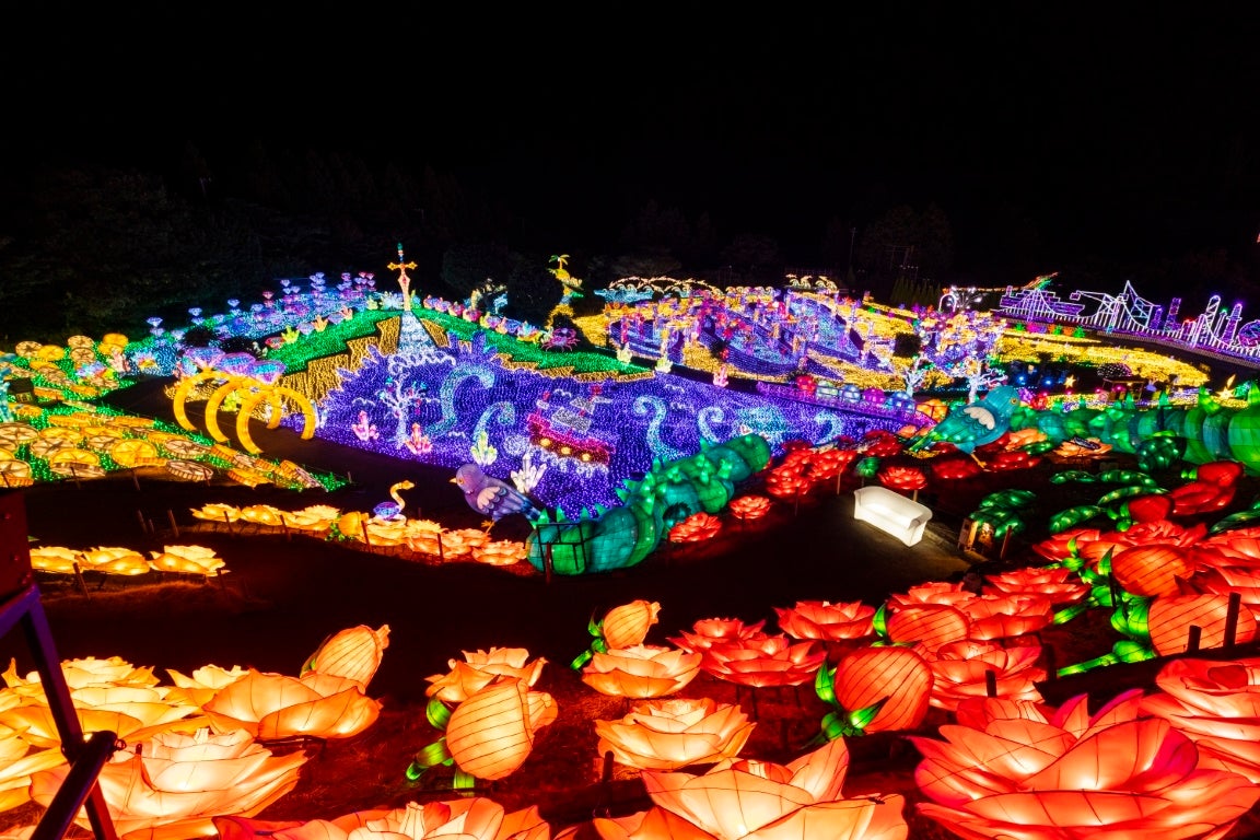 クラウドファンディング『ビッグフラッグプロジェクト』開始のお知らせ