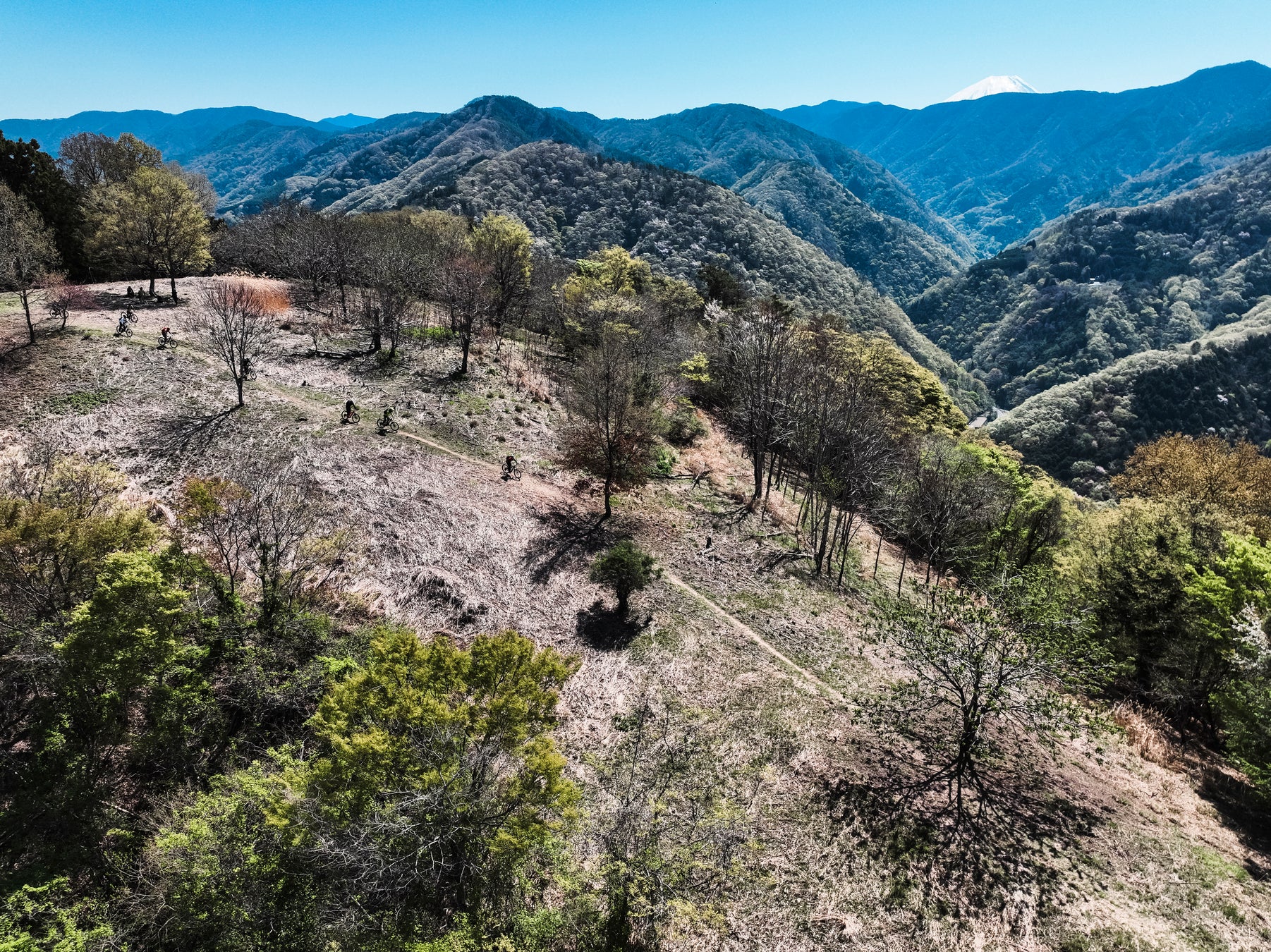 NEW FX-001 FAIRWAY WOOD 発売のお知らせ