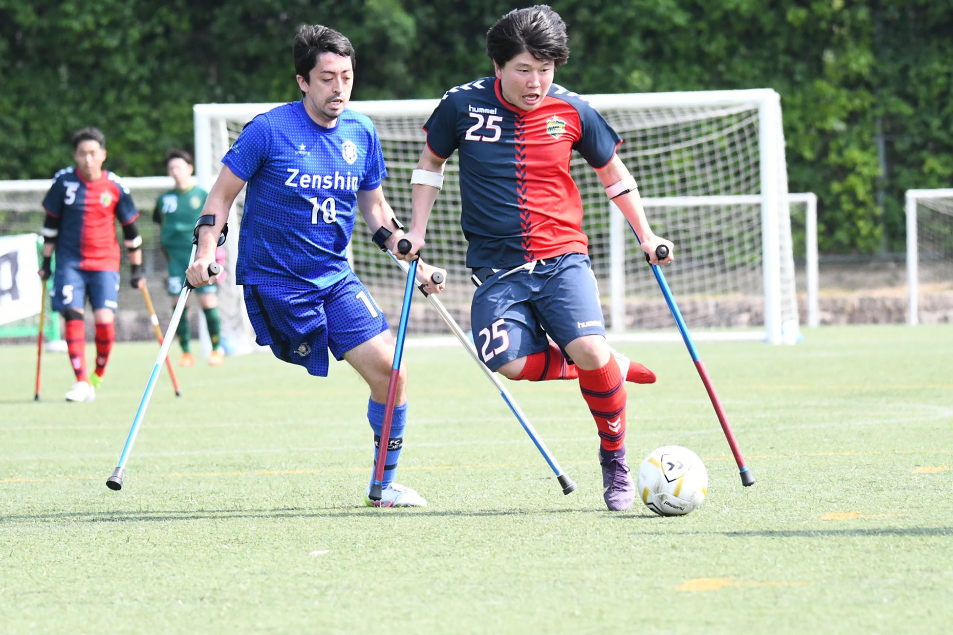 Baseball Jobs Overseasとジャパンウィンターリーグが業務提携