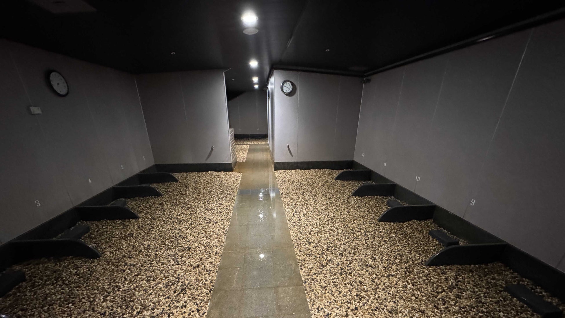 ノジマＴリーグ 2025-2026シーズン 公式戦 8月30日開催 九州カリーナ vs 京都カグヤライズ 試合結果