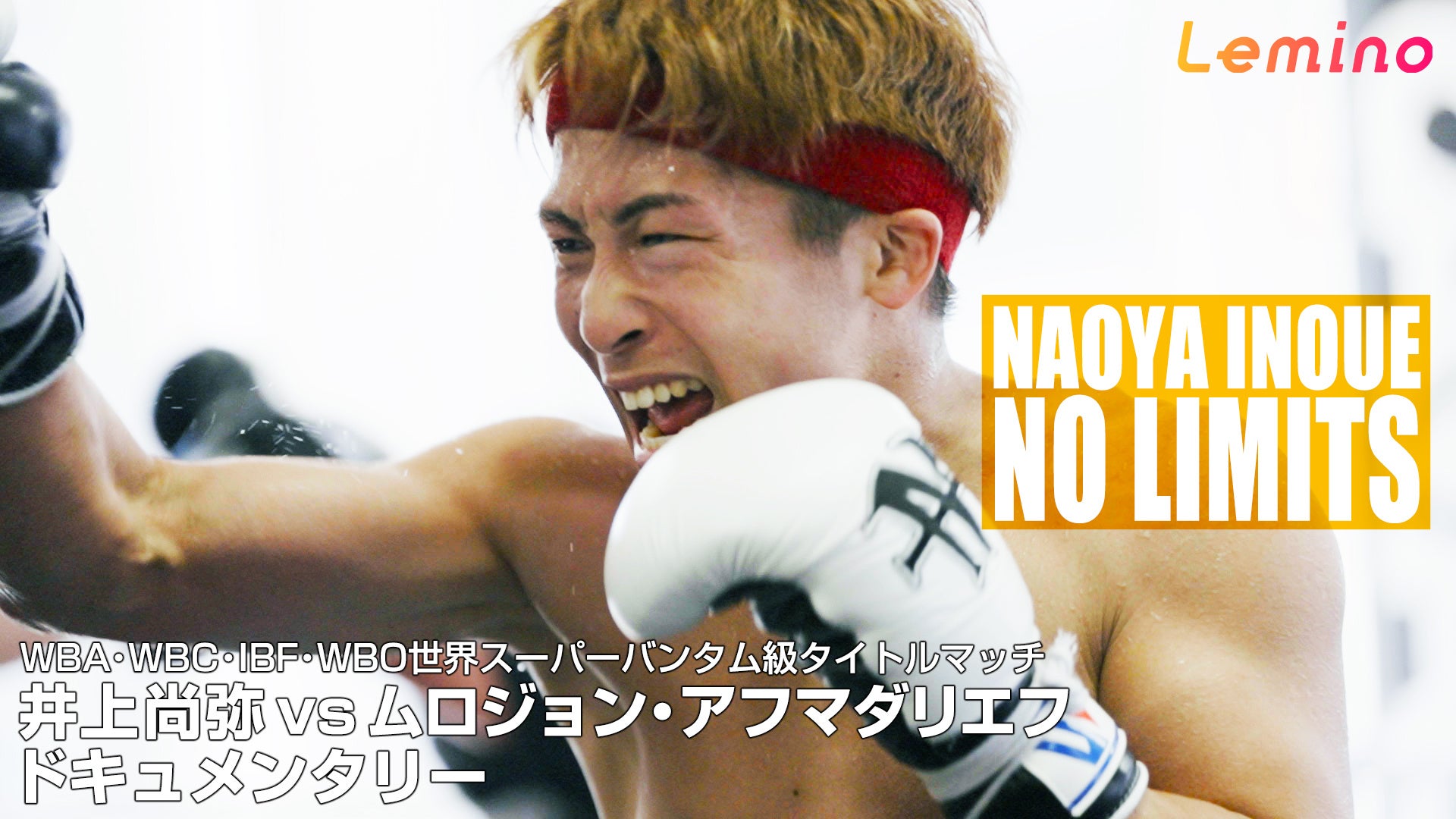 日本レスリング協会とスポンサー契約締結